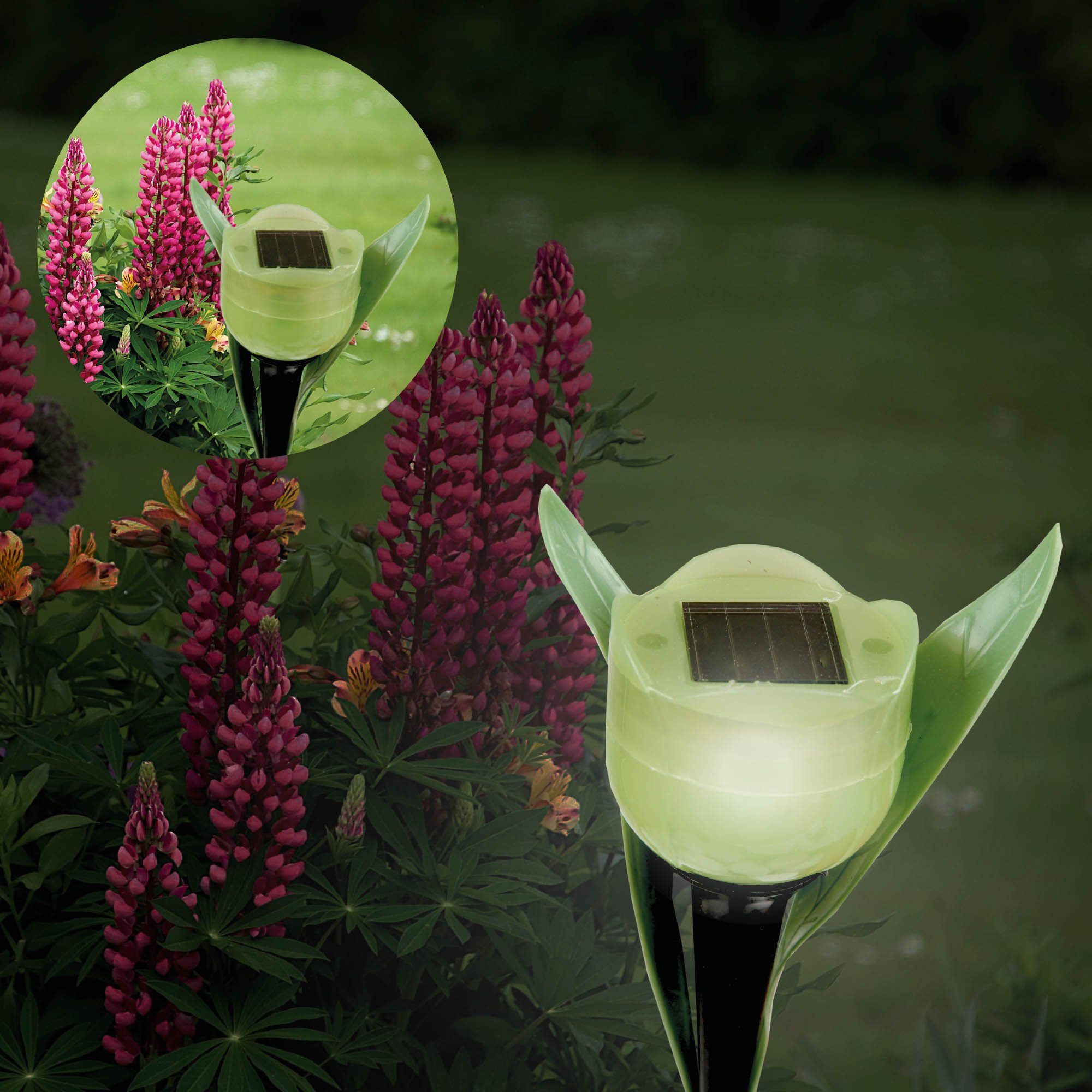 Tageslichtweiß, integriert, festintegriert, Grün Solarleuchte LED LED 30cm fest Höhe) Tulpenoptik LED Tulpensticks-05011, Solarlampe, Bestlivings Gartenlampe(ca.