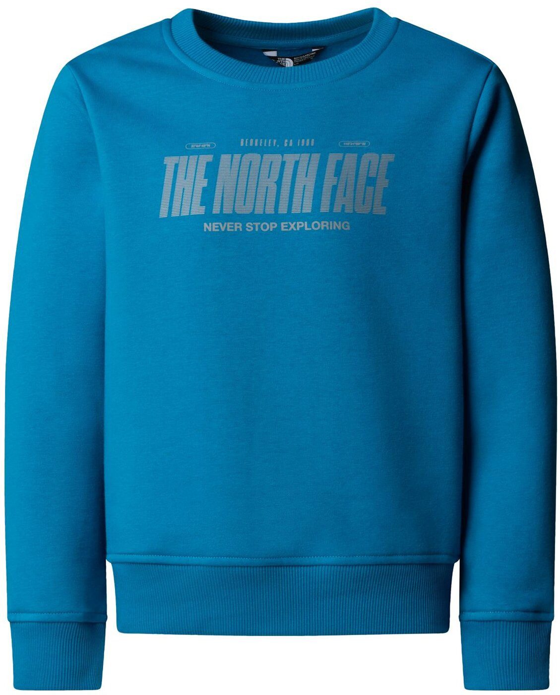 The North Face Sweatshirt B REFLECTIVE günstig online kaufen