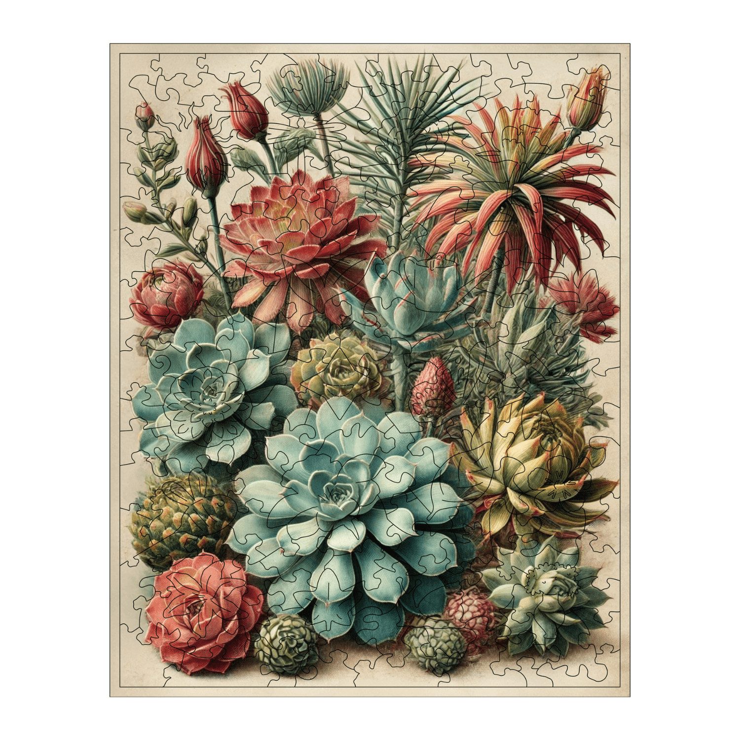 MagicHolz Puzzle MagicHolz Bunte Sukkulenten Holzpuzzle, 155 Puzzleteile günstig online kaufen