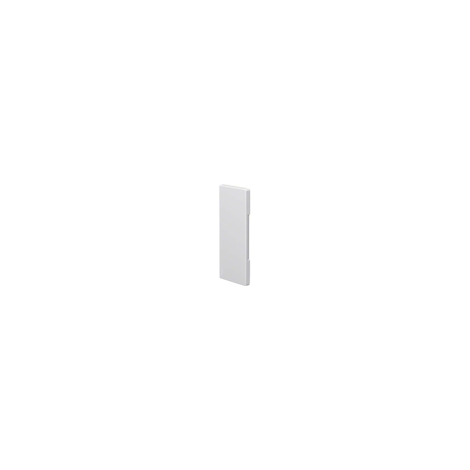 Hager Abdeckplatte Tehalit Endstück zu BR/A 68x170mm vw BR6517069016