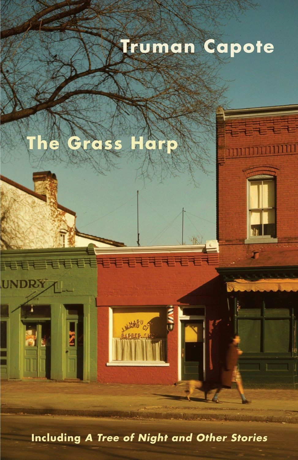Belletristik The Grass Harp Truman Capote