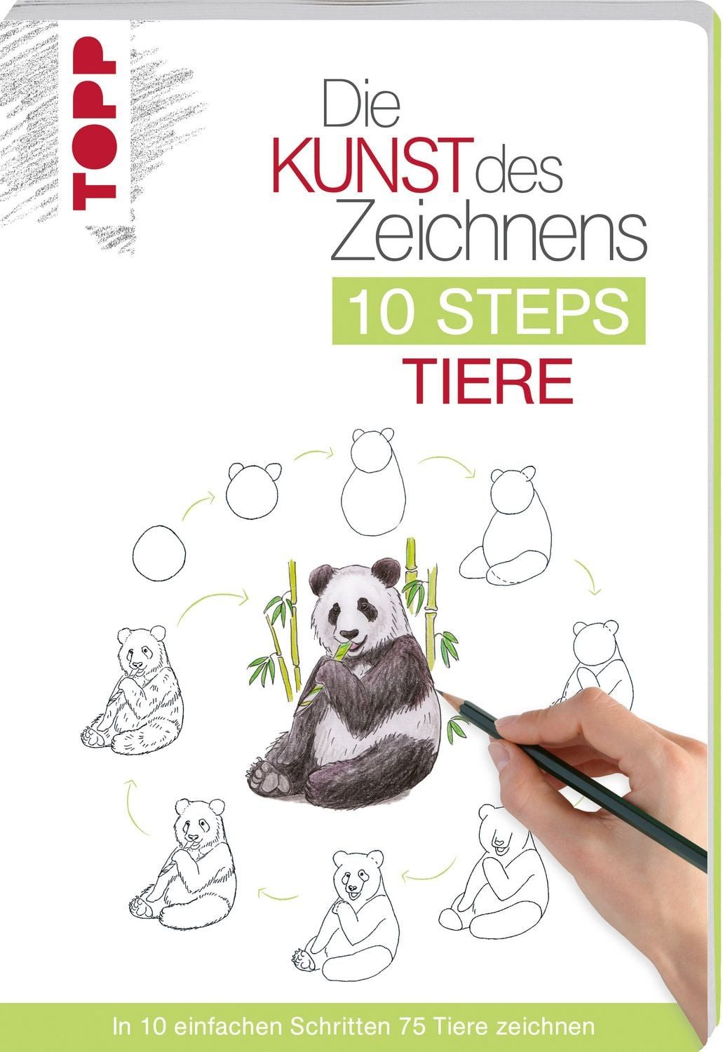Die Kunst des Zeichnens 10 Steps - Tiere / Heather Kilgour