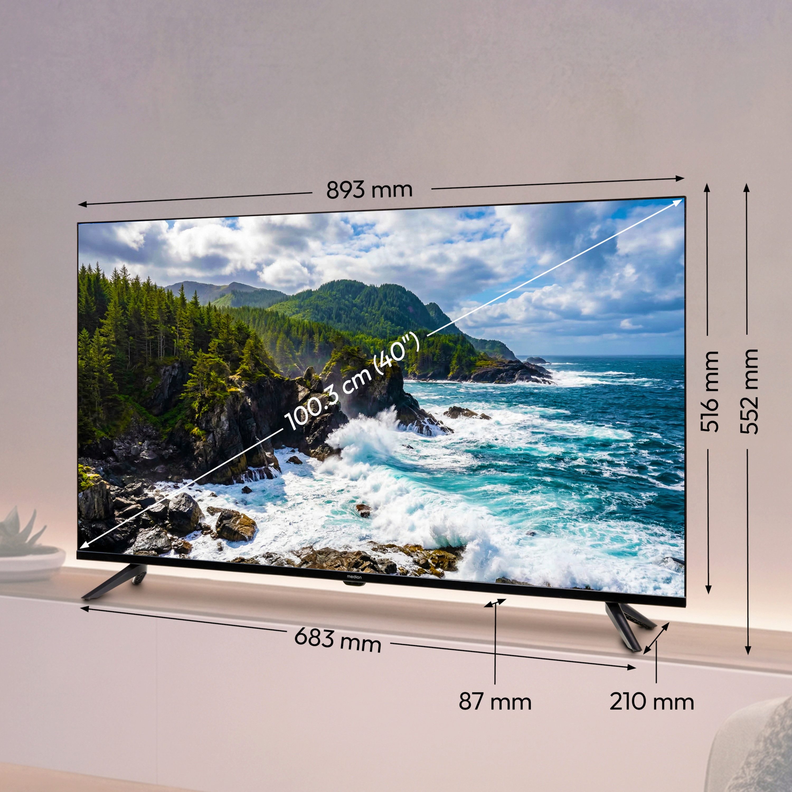 Medion® MD840002 LCD-LED Fernseher (100.3 cm/40 Zoll, 1080p Full HD, Pay-TV, CI+, Media Player, DVB-T Antenne)