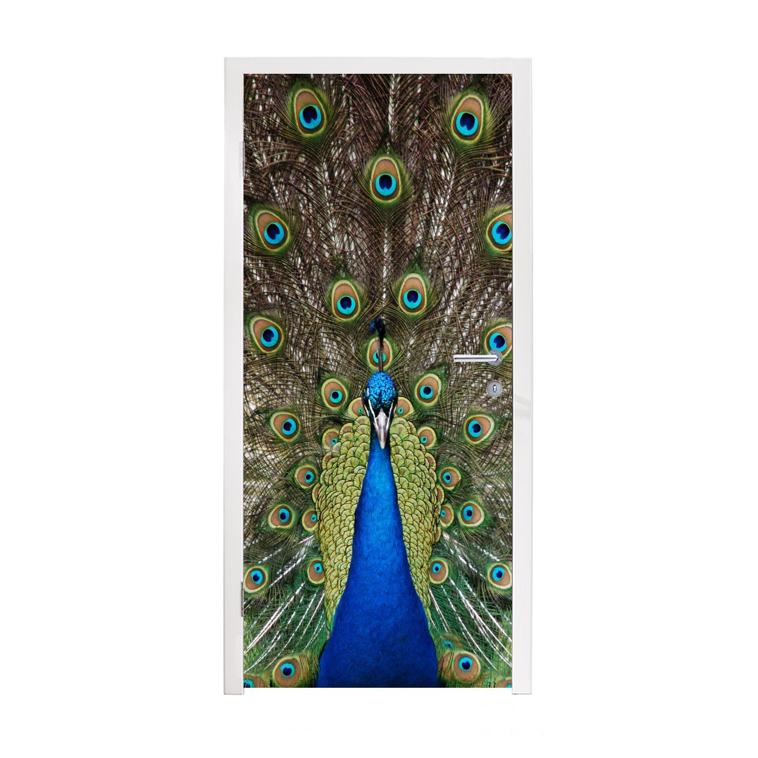 MuchoWow Türtapete - Pfau Türaufkleber, cm 75x205 St), Fototapete bedruckt, Tür, Farben (1 Federn, Matt, - für