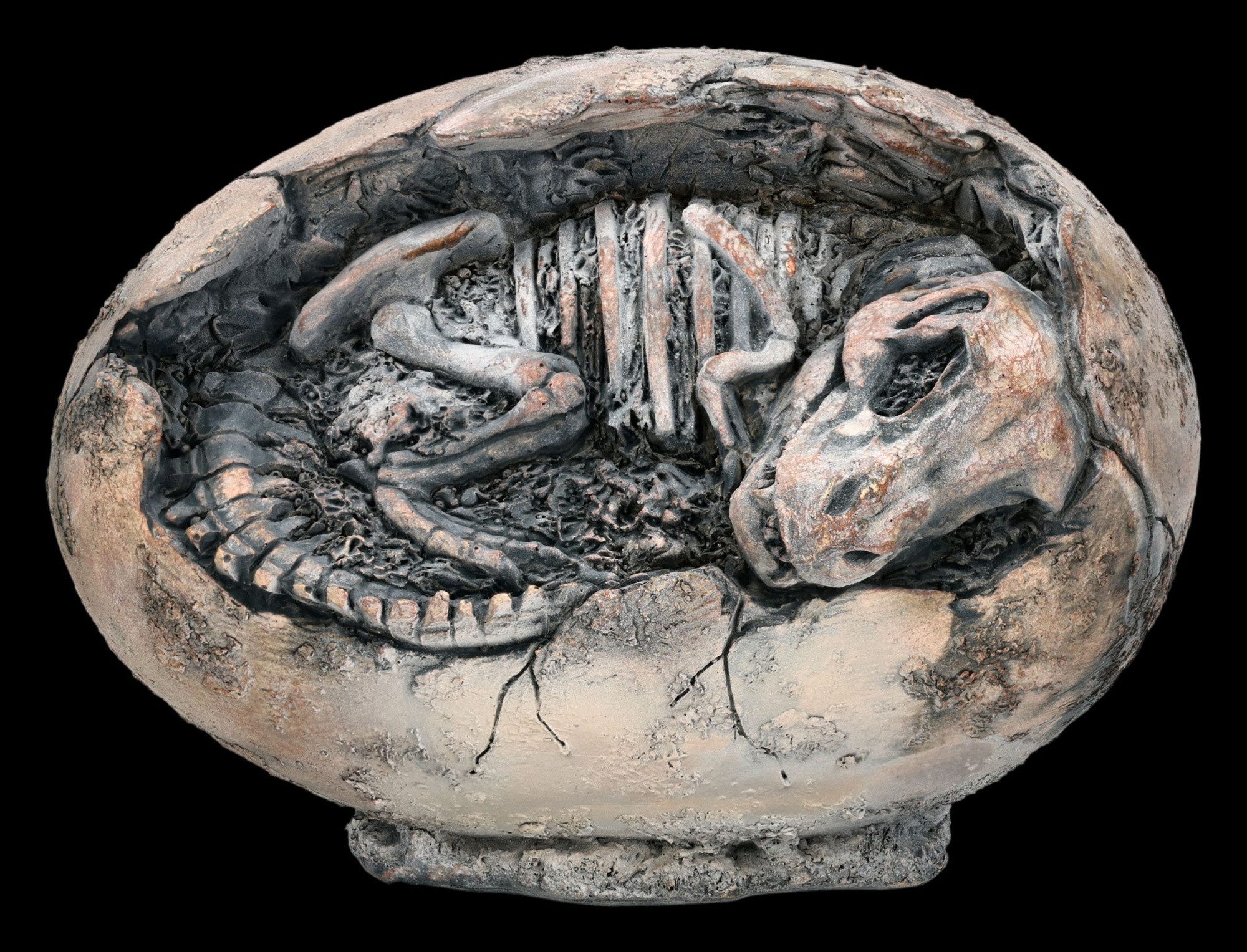 Figuren Shop GmbH Dekofigur Dinosaurier Ei Figur – T-Rex Skelett Fossil Deko Sammlerfigur 19 cm