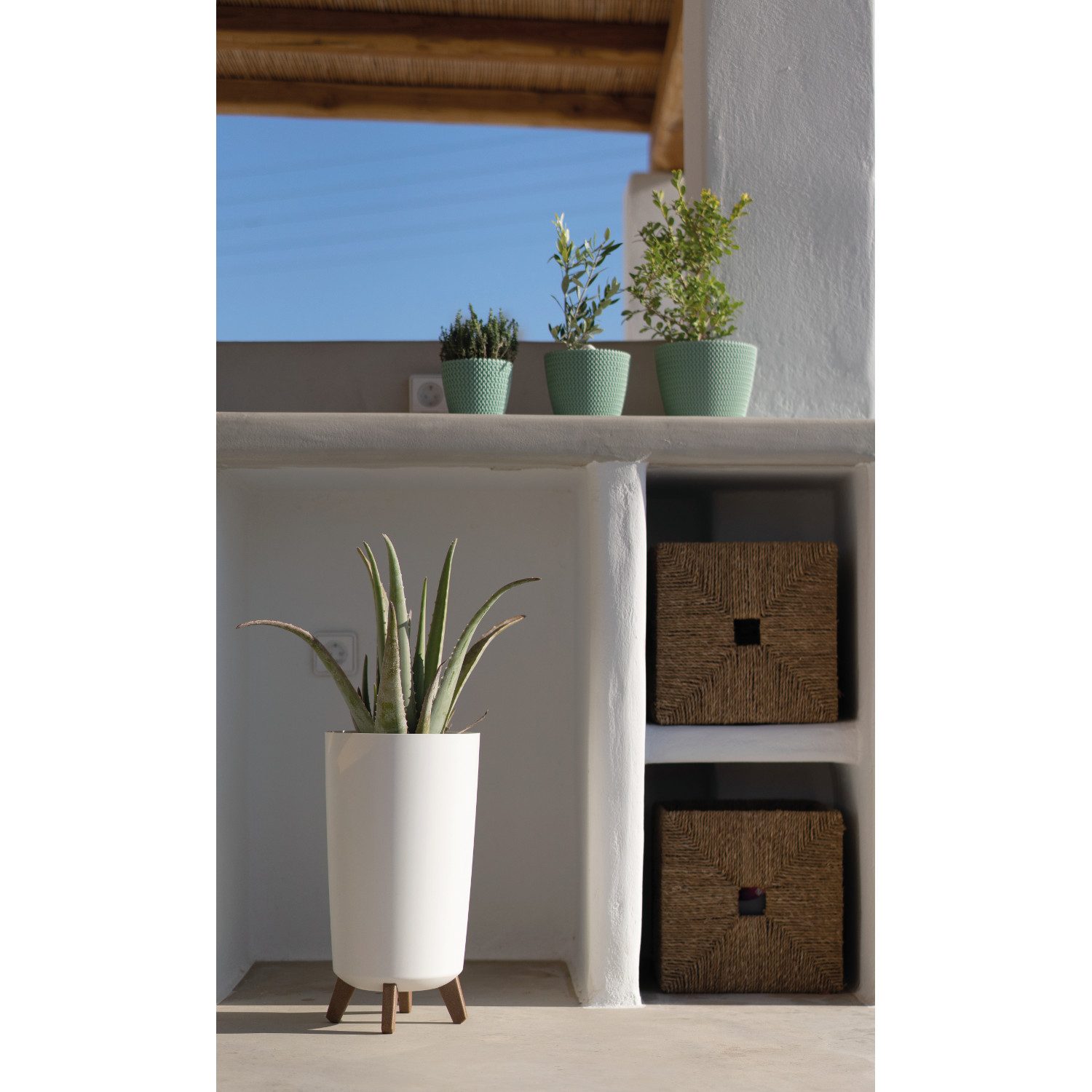 Prosperplast Blumentopf (1 St), Gracia Tubus günstig online kaufen