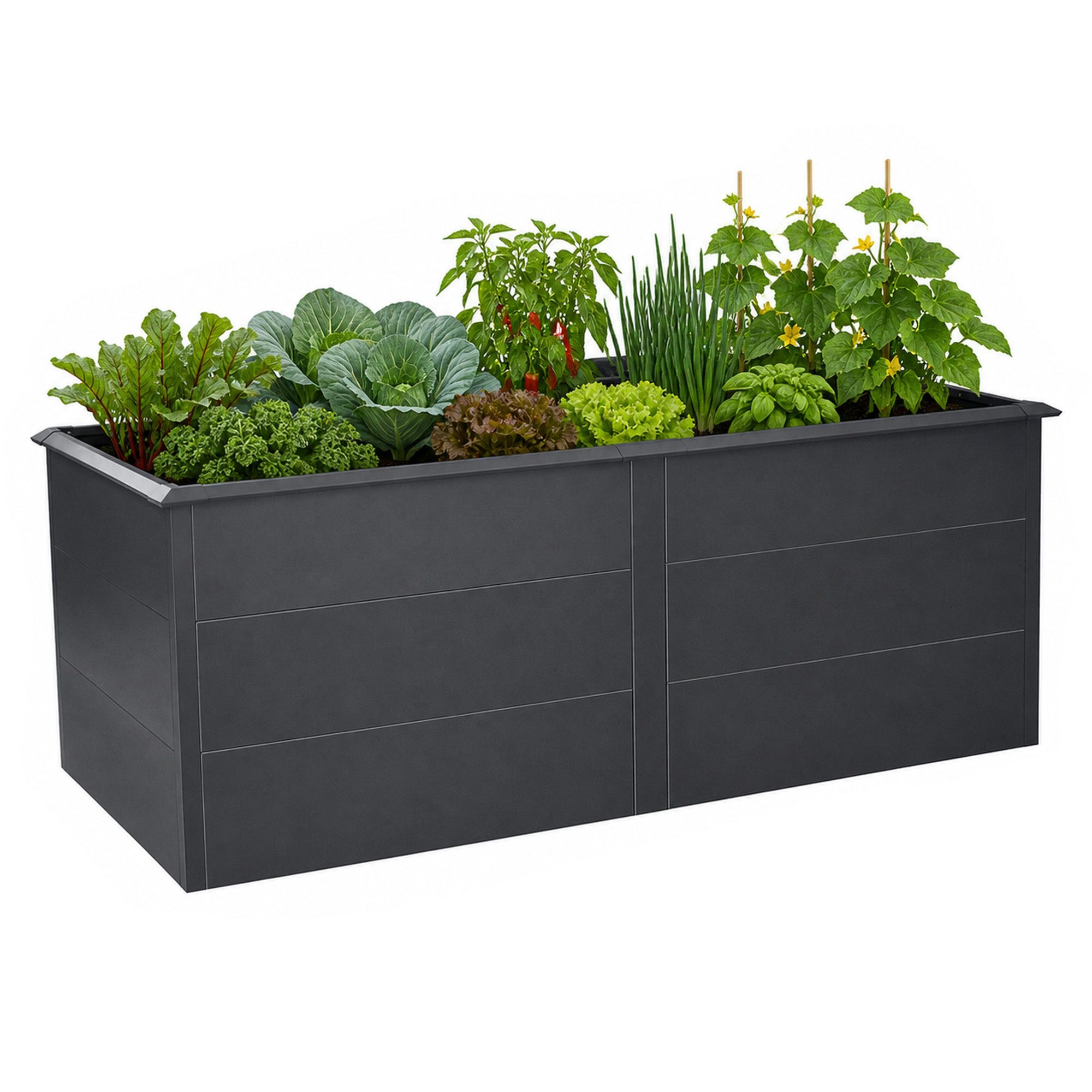 Zelsius Hochbeet verzinkter Stahl 200 x 100 x 77 cm Anthrazit RAL 7016 (1x Hochbeet, 1x Hochbeet)