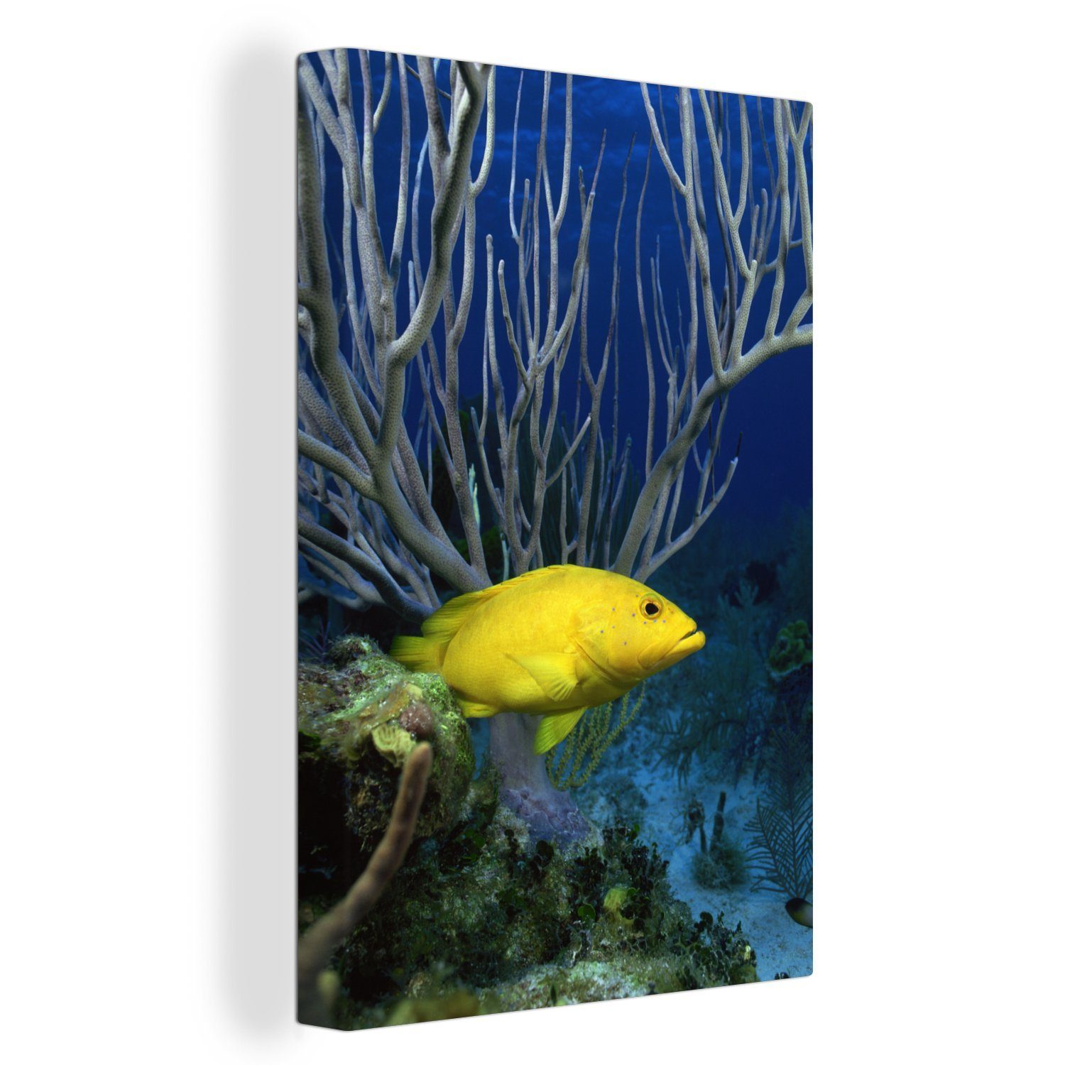 OneMillionCanvasses® Leinwandbild Fisch - Gelb - Koralle, (1 St), Leinwandbild fertig bespannt inkl. Zackenaufhänger, Gemälde, 20x30 cm