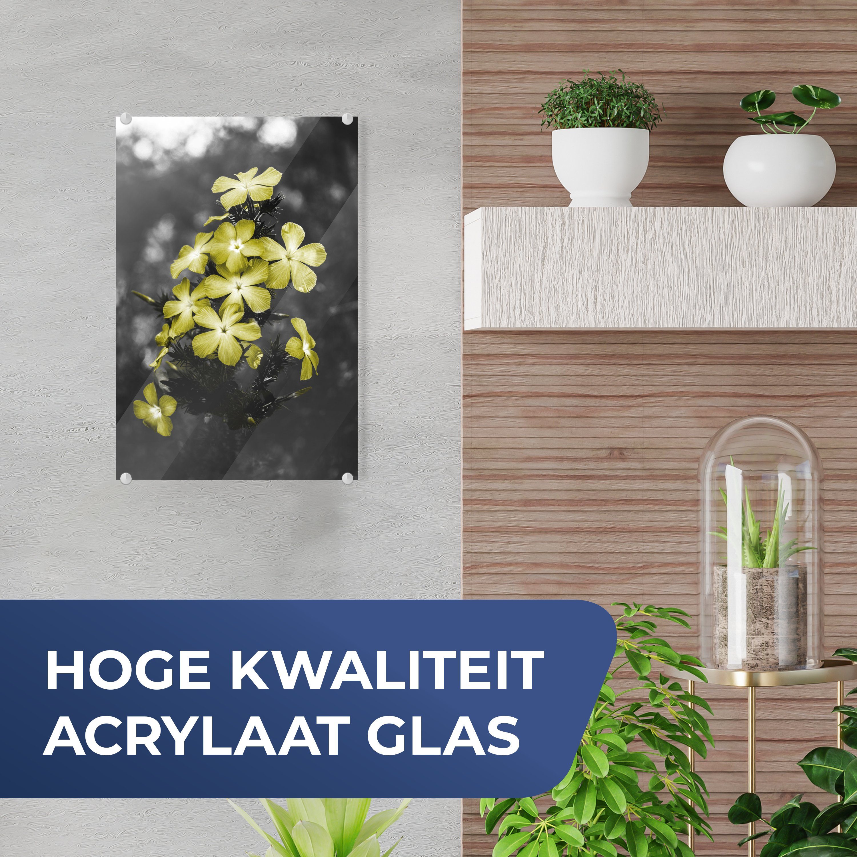 MuchoWow Acrylglasbild Blumen Wanddekoration Gelb (1 - auf - St), - auf Glas Farben, Glasbilder Bilder - Wandbild - Foto Glas