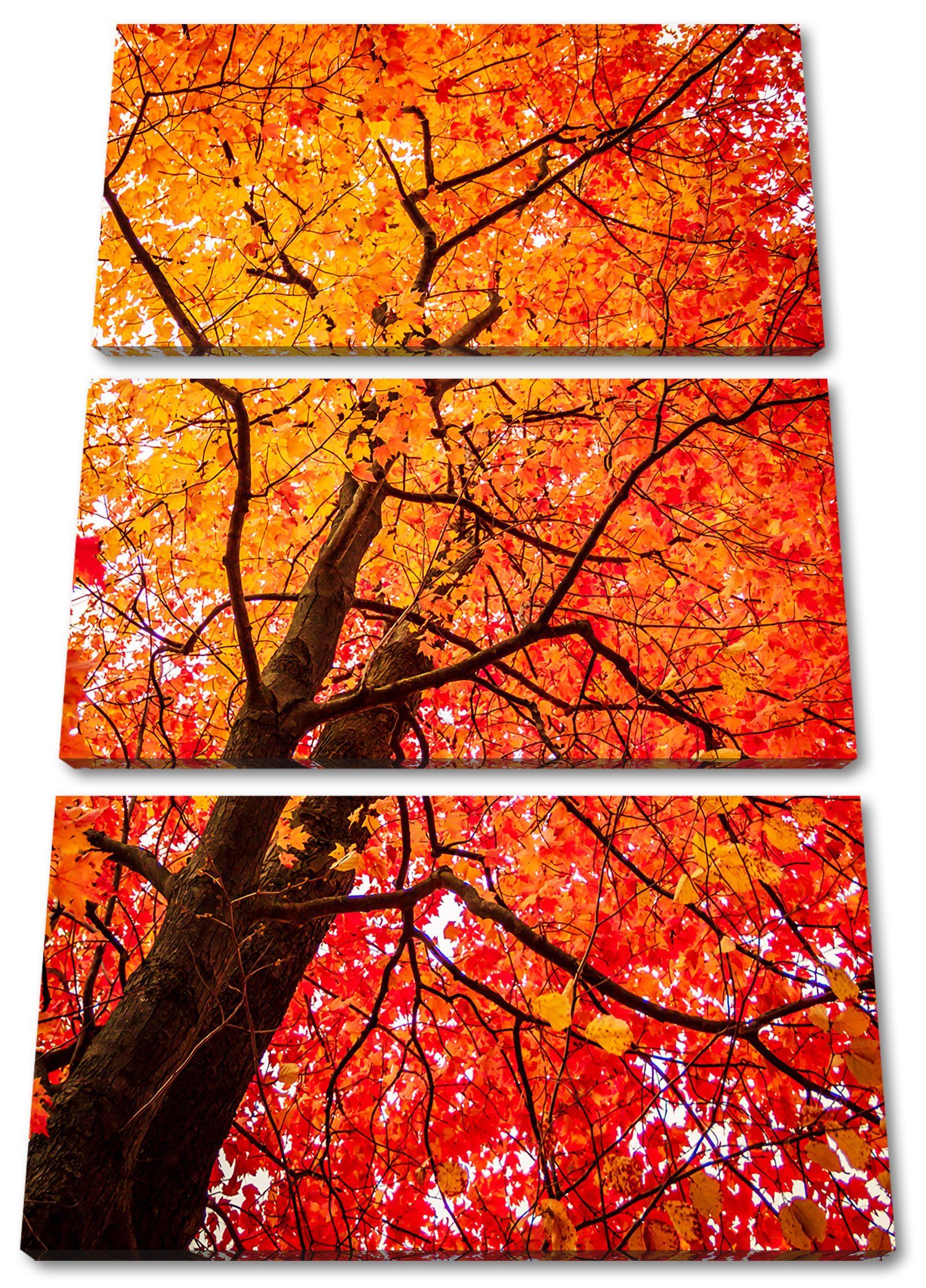 Pixxprint Leinwandbild Feurige Herbstblätter, Feurige Herbstblätter 3Teiler (120x80cm) (1 St), Leinwandbild fertig bespannt, inkl. Zackenaufhänger