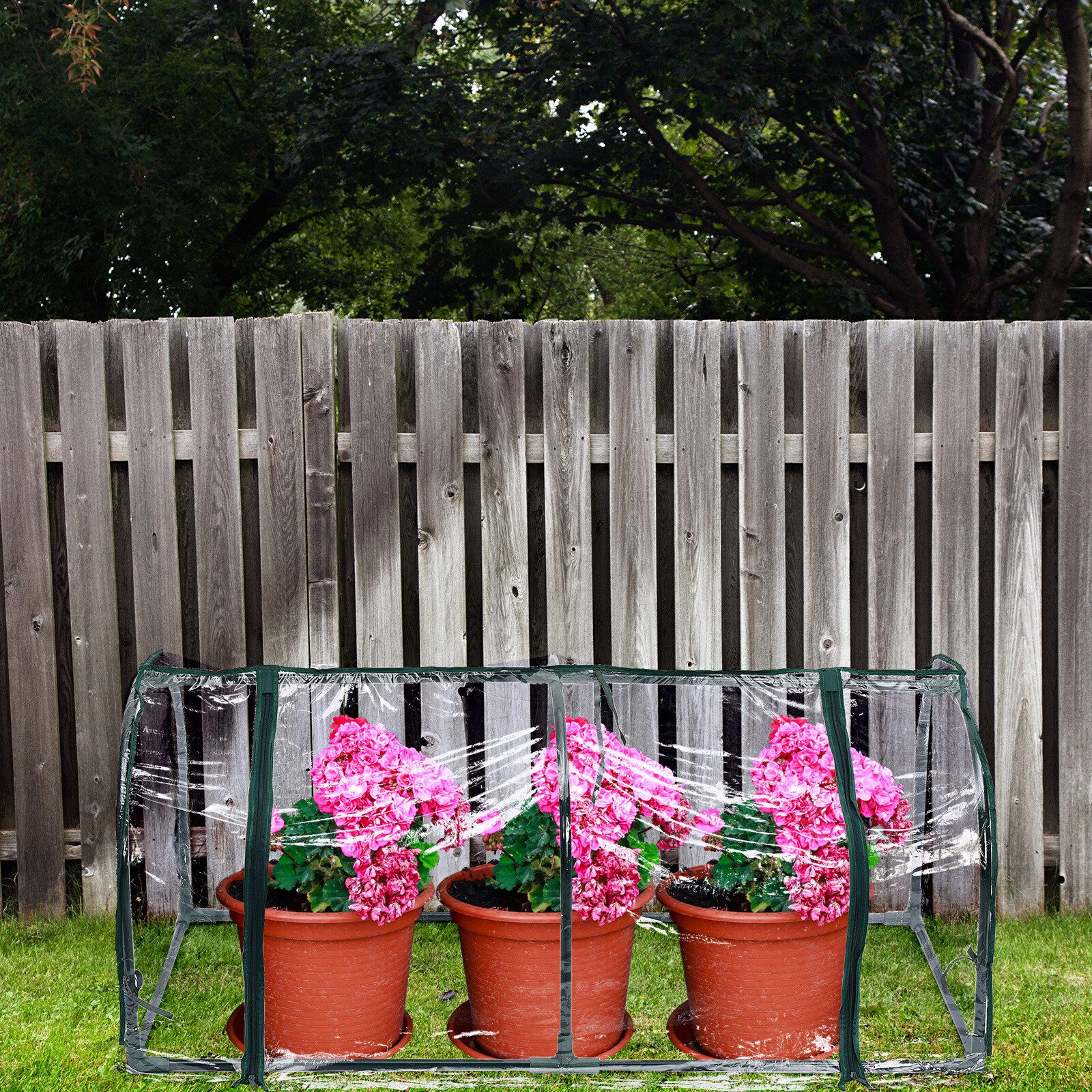 FUROKOY Gewächshaus Transparentes Tragbares Mini-Gartengewächshaus, Gewächs günstig online kaufen