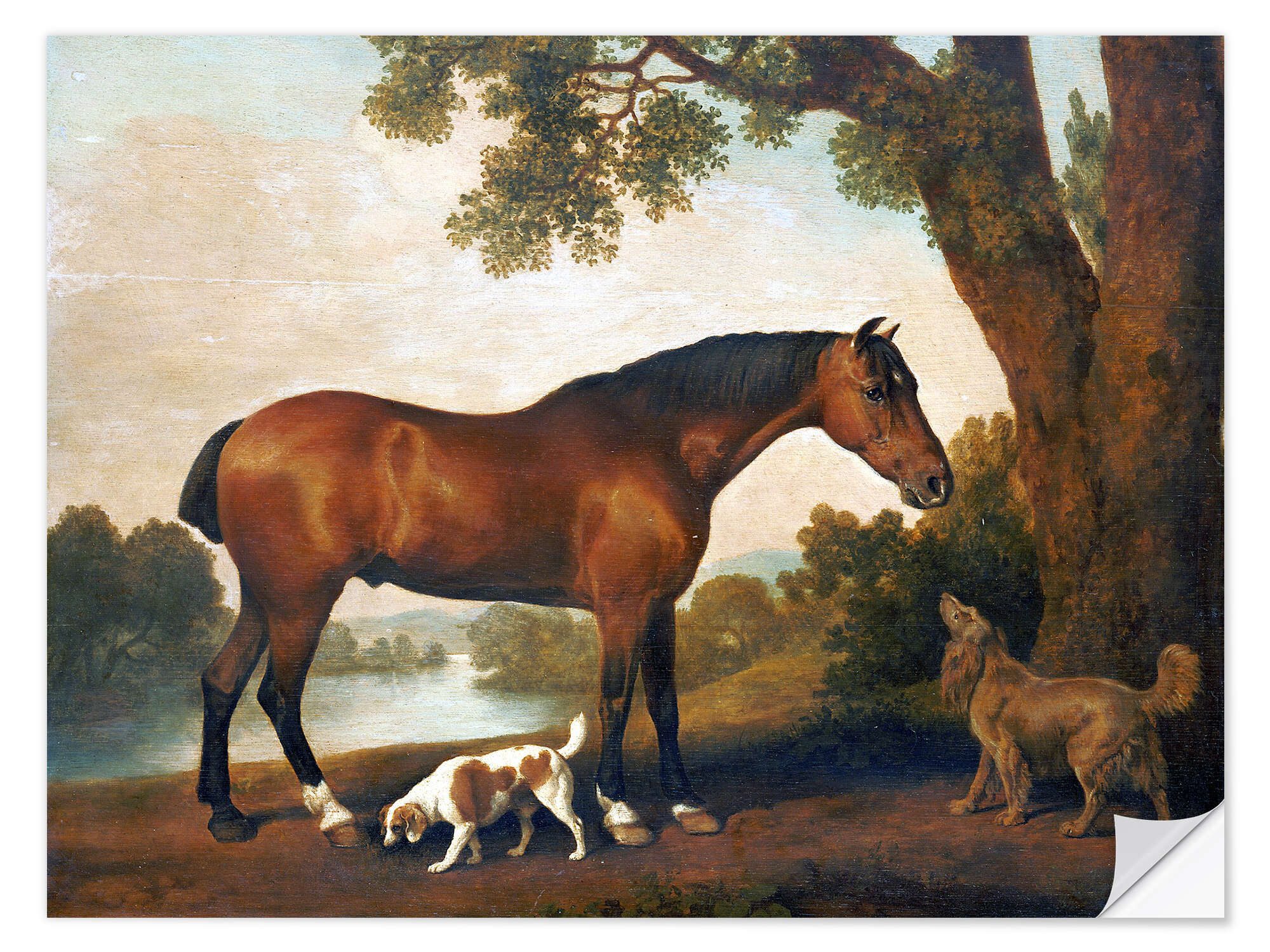Posterlounge Wandfolie George Stubbs, Pferd und zwei Hunde, Malerei
