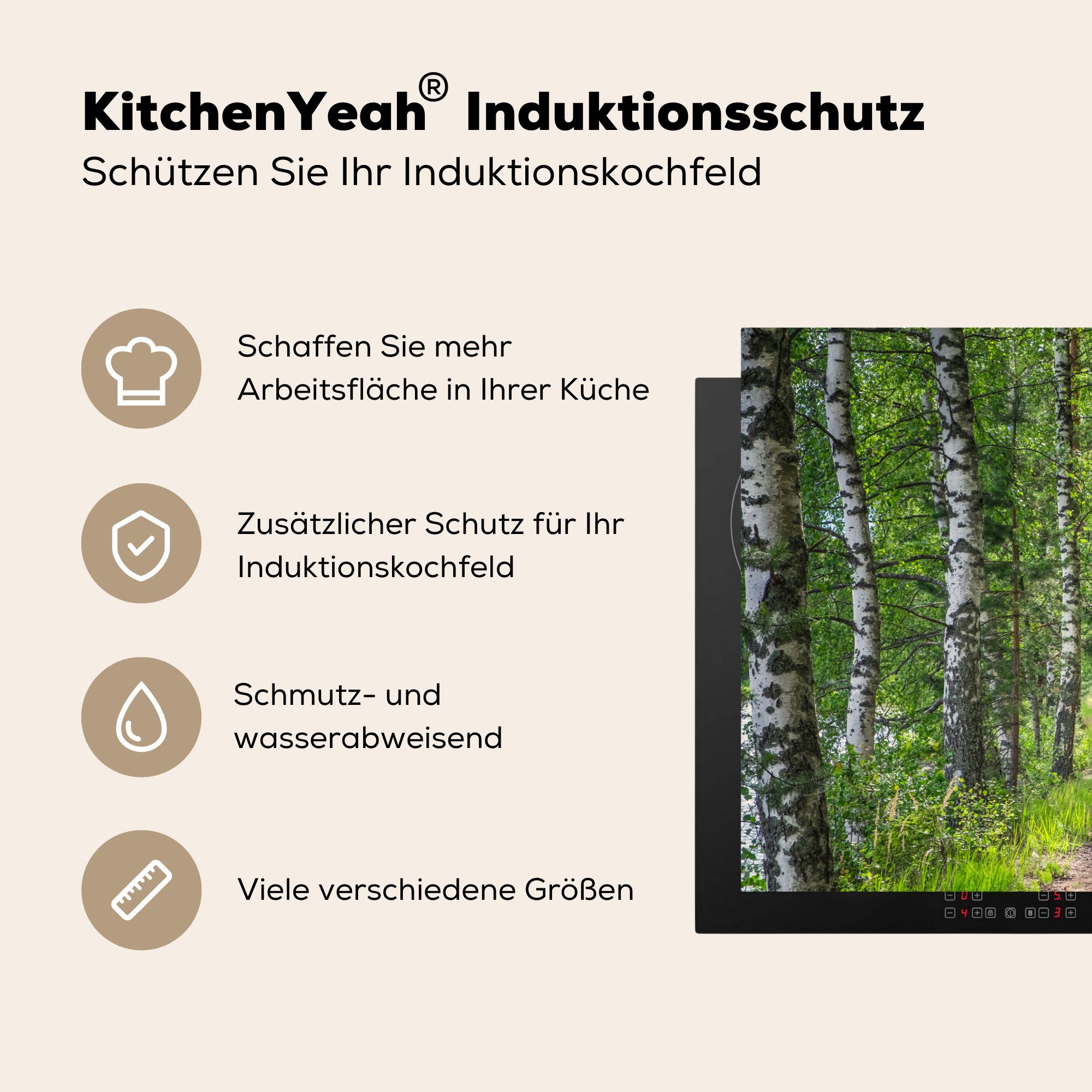 Herdblende-/Abdeckplatte (1 die Induktionskochfeld Birke, Schutz MuchoWow Wald für Vinyl, tlg), cm, Ceranfeldabdeckung Bäume küche, 81x52 - -