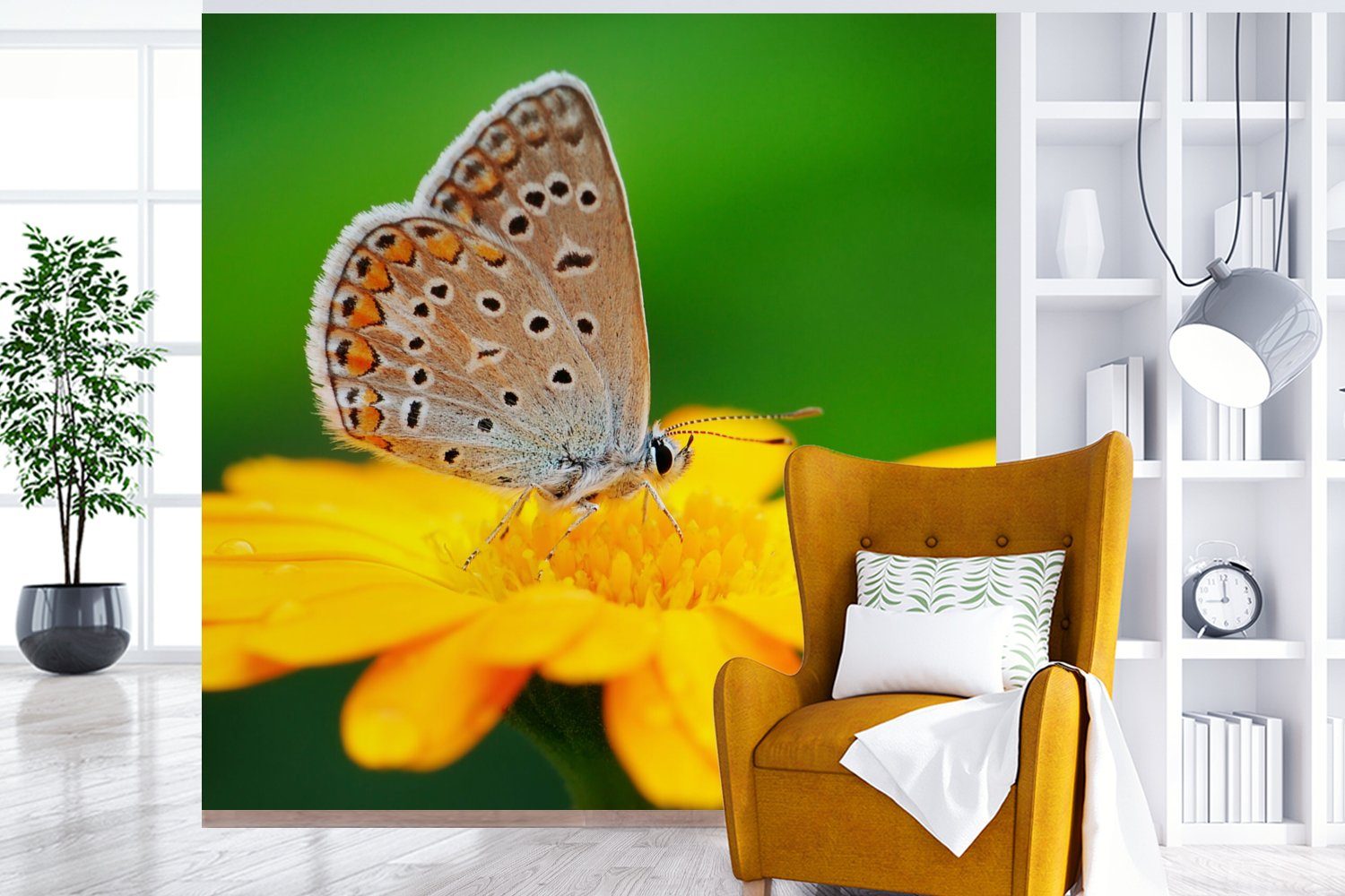 MuchoWow Fototapete Blumen oder Schmetterling Tapete Matt, - (5 - für Wandtapete Schlafzimmer, Vinyl Wohnzimmer bedruckt, St), Natur