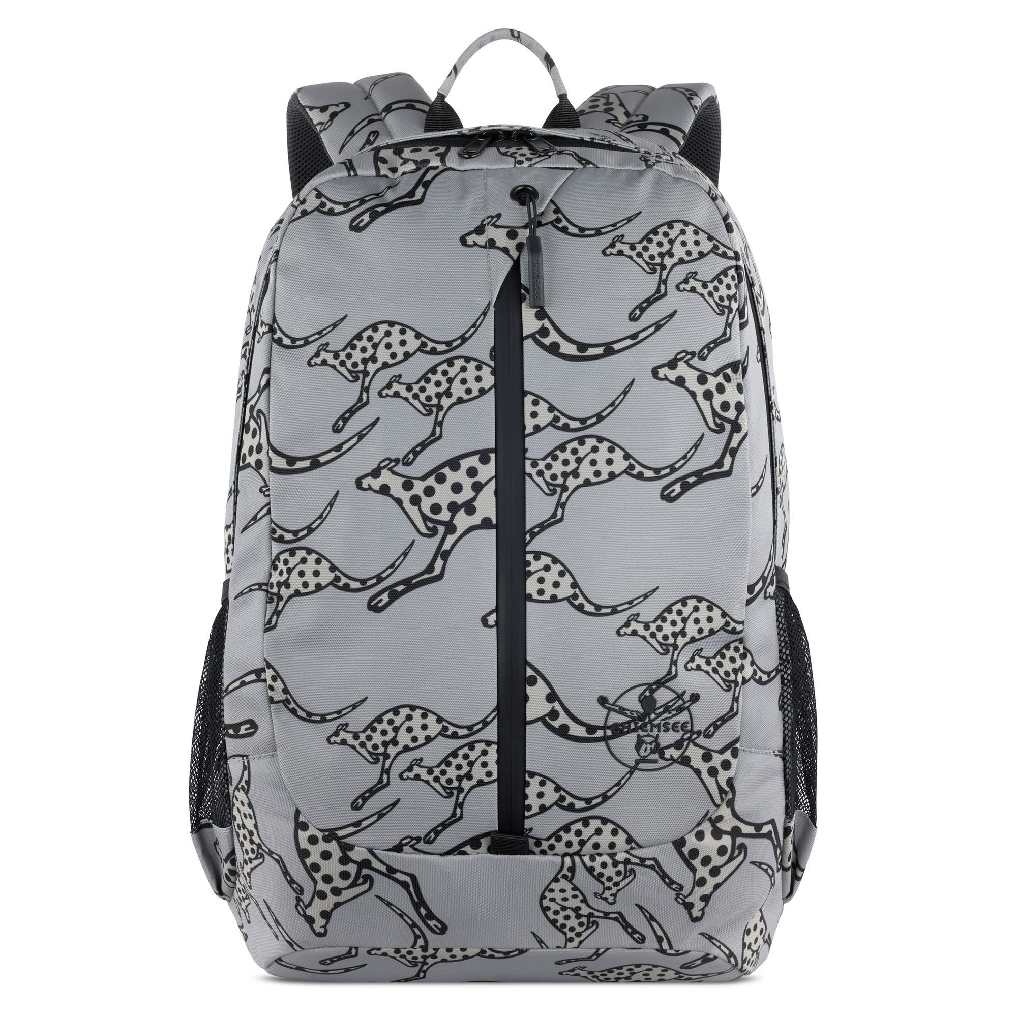 Chiemsee Daypack Jump N Fly, Polyester