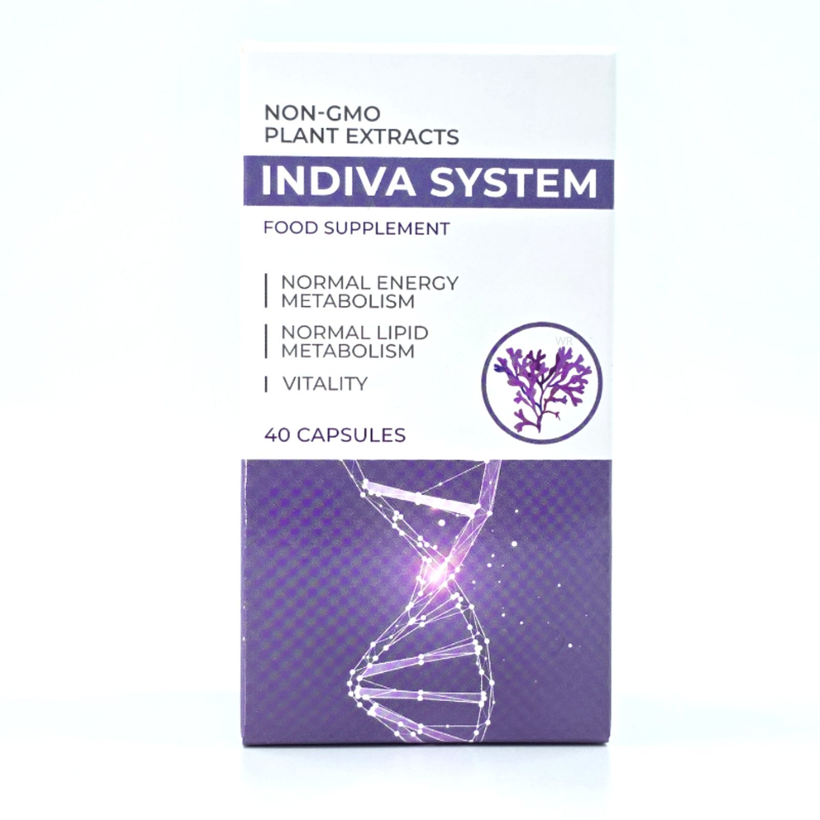 Indiva System Indiva System – 40 Kapseln Kapseln, 19,2 g