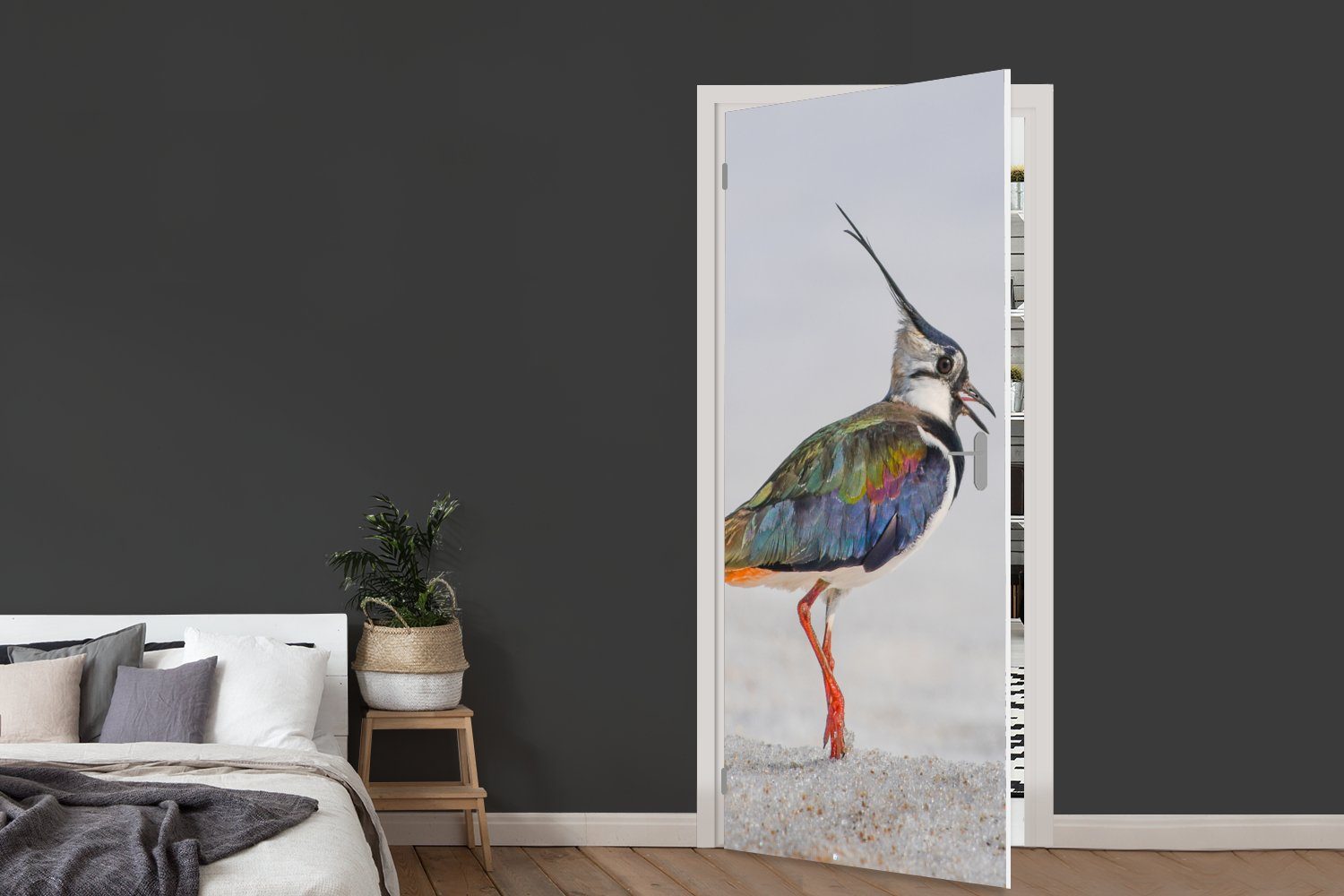 - Kiebitz, Vogel - Tiere Fototapete - St), (1 75x205 cm Türaufkleber, bedruckt, MuchoWow Matt, Sand für Tür, Türtapete