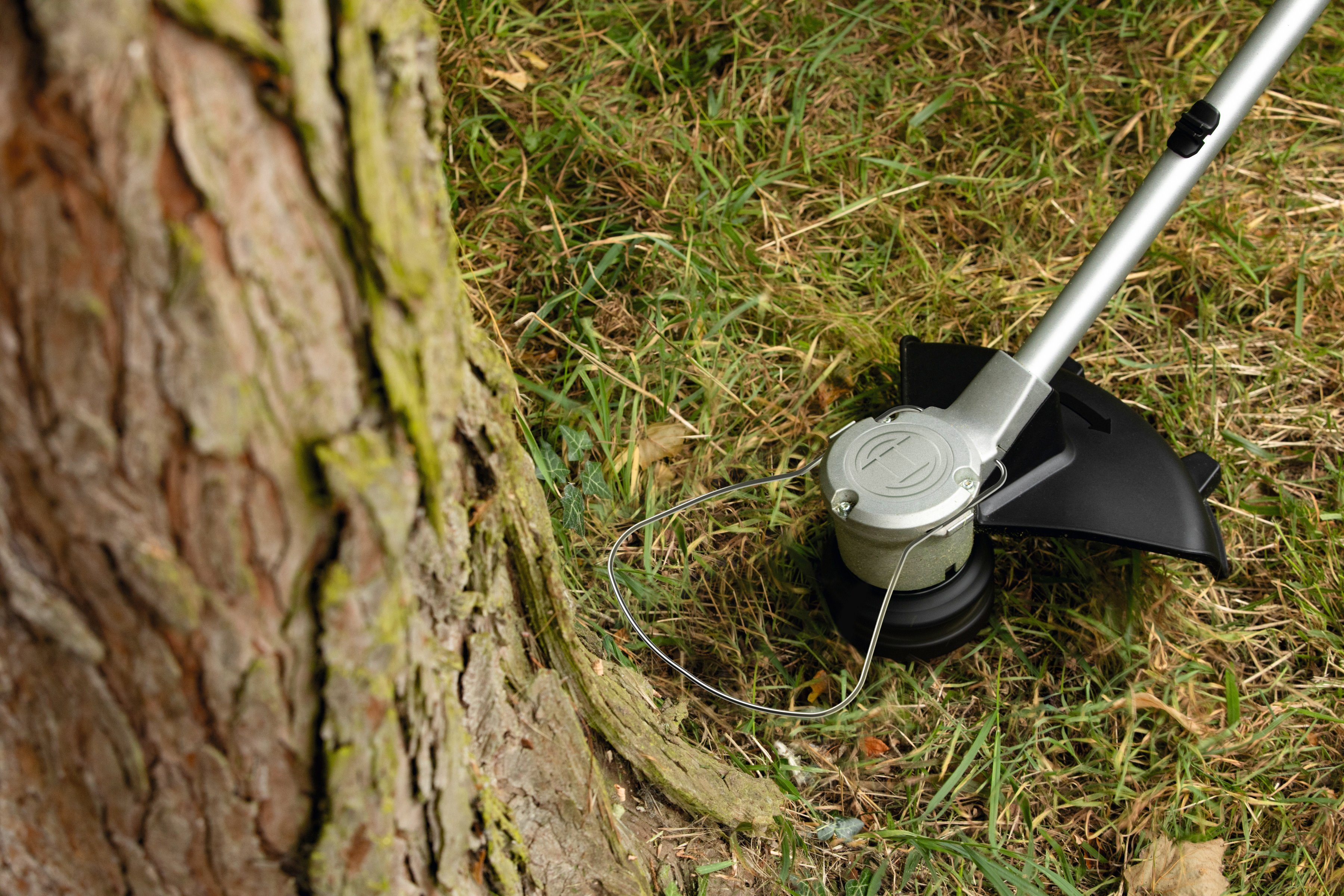 Bosch Home & Garden Akku-Rasentrimmer AdvancedGrassCut 36V 33, mit Akku 36V/2,0 Ah und Ladegerät – Bild 4 von 5