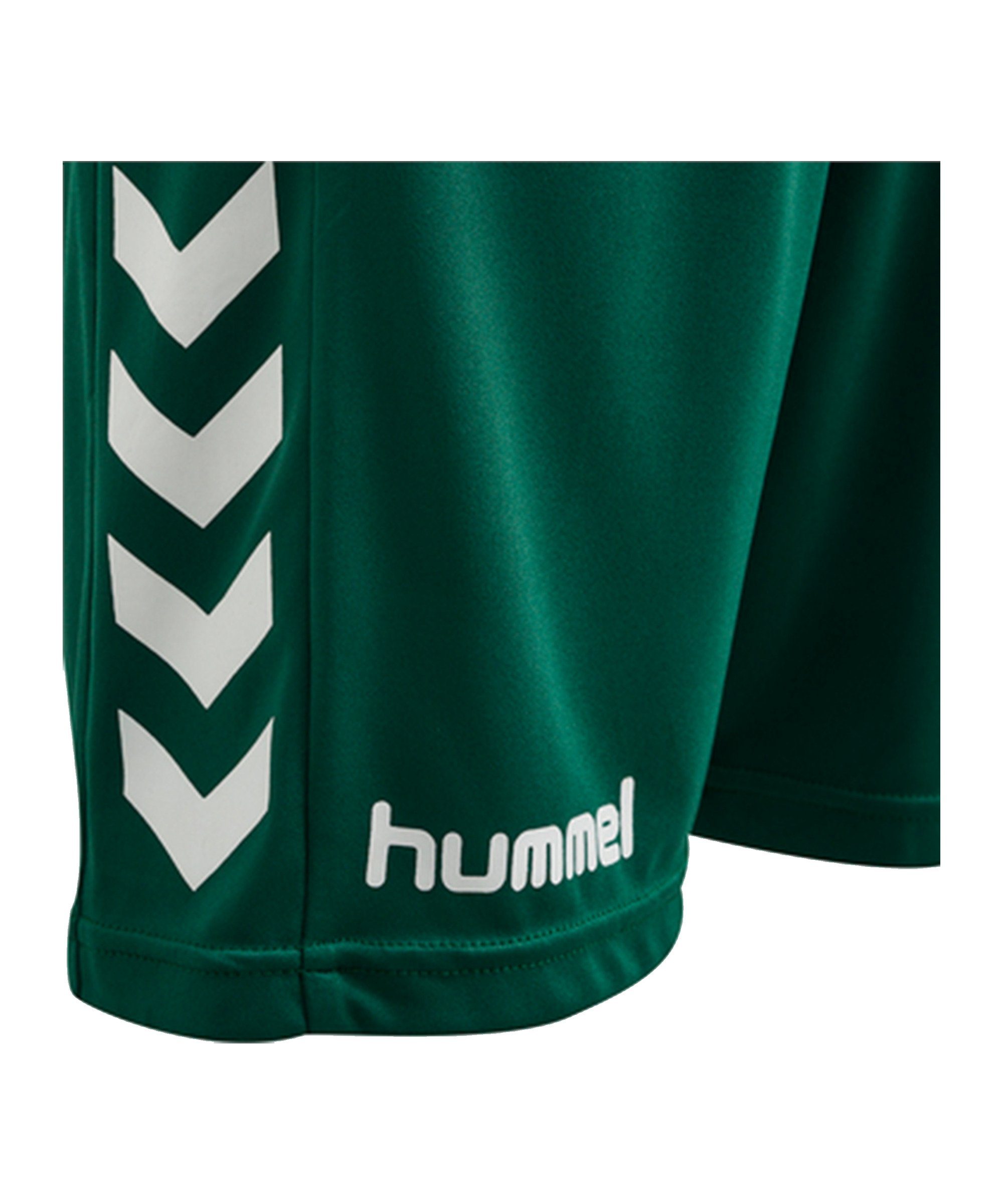 Kids Fußballtrikot Torwarttrikotset Core gruen hummel GK