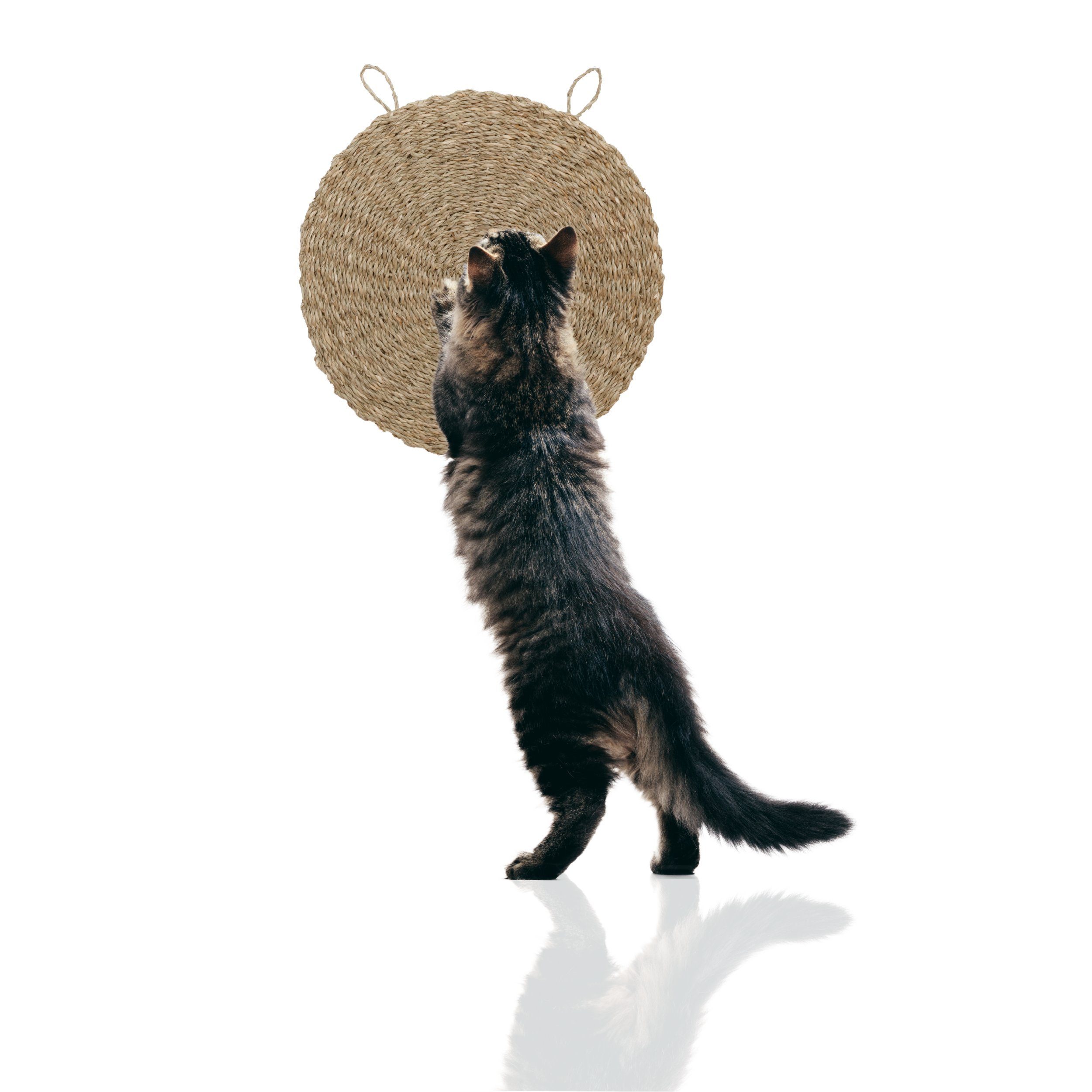 Kratzmatte Kratzmatte Katze rund Seegrasmatte Kratzmatte Wand, einzeln
