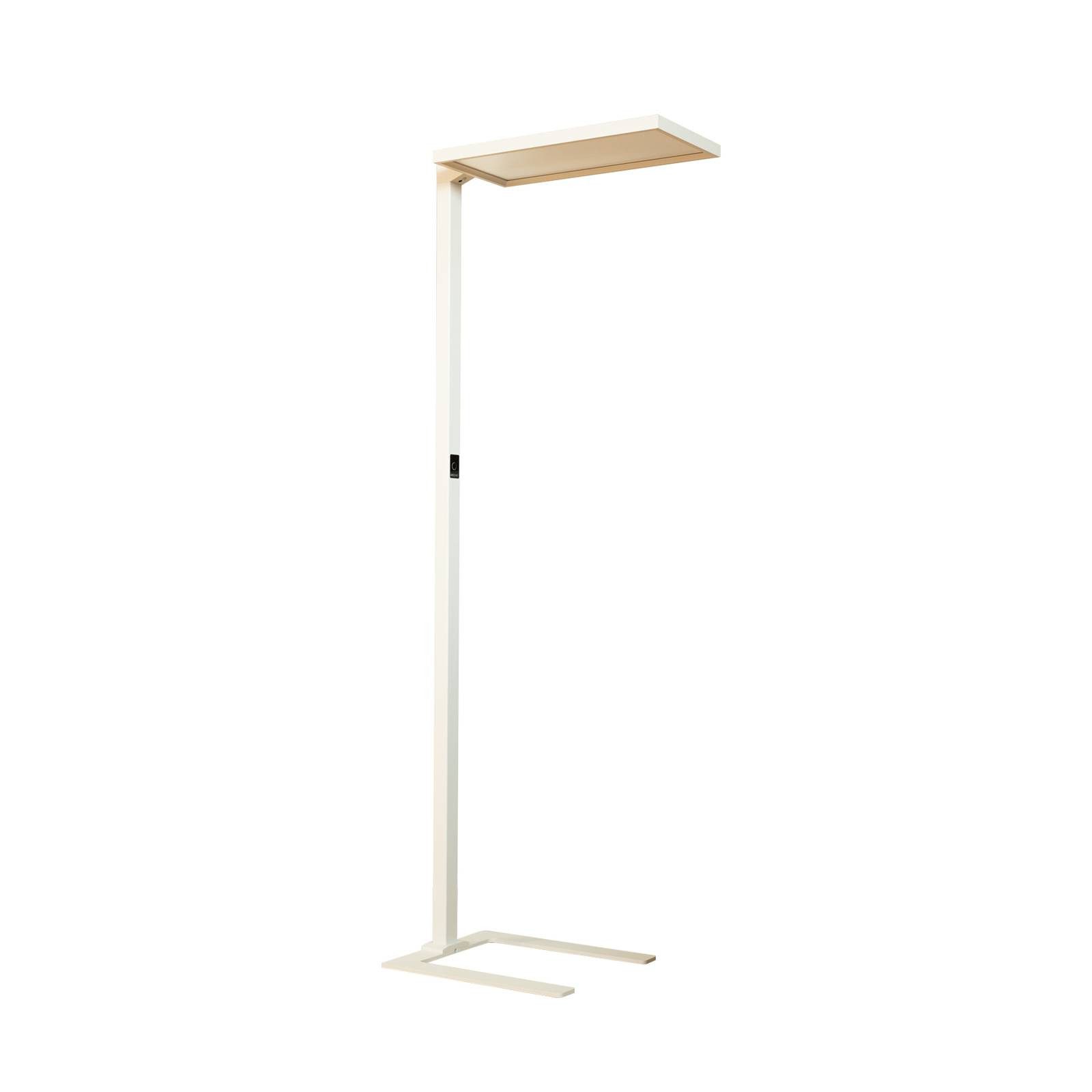 Arcchio Stehlampe Nelus, Enthalten, 37 W LED + 37 W LED, universalweiß