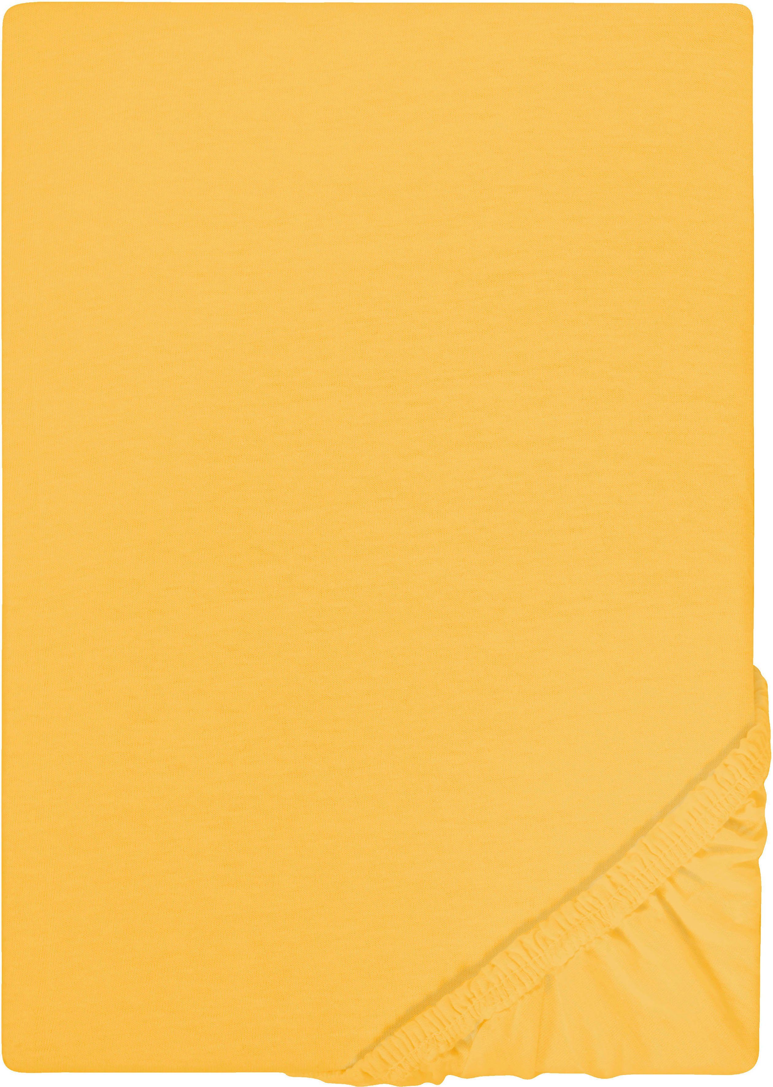 Castell - Markenbettwäsche Spannbettlaken Jersey in Gr. 90x200, 140x200 ode günstig online kaufen