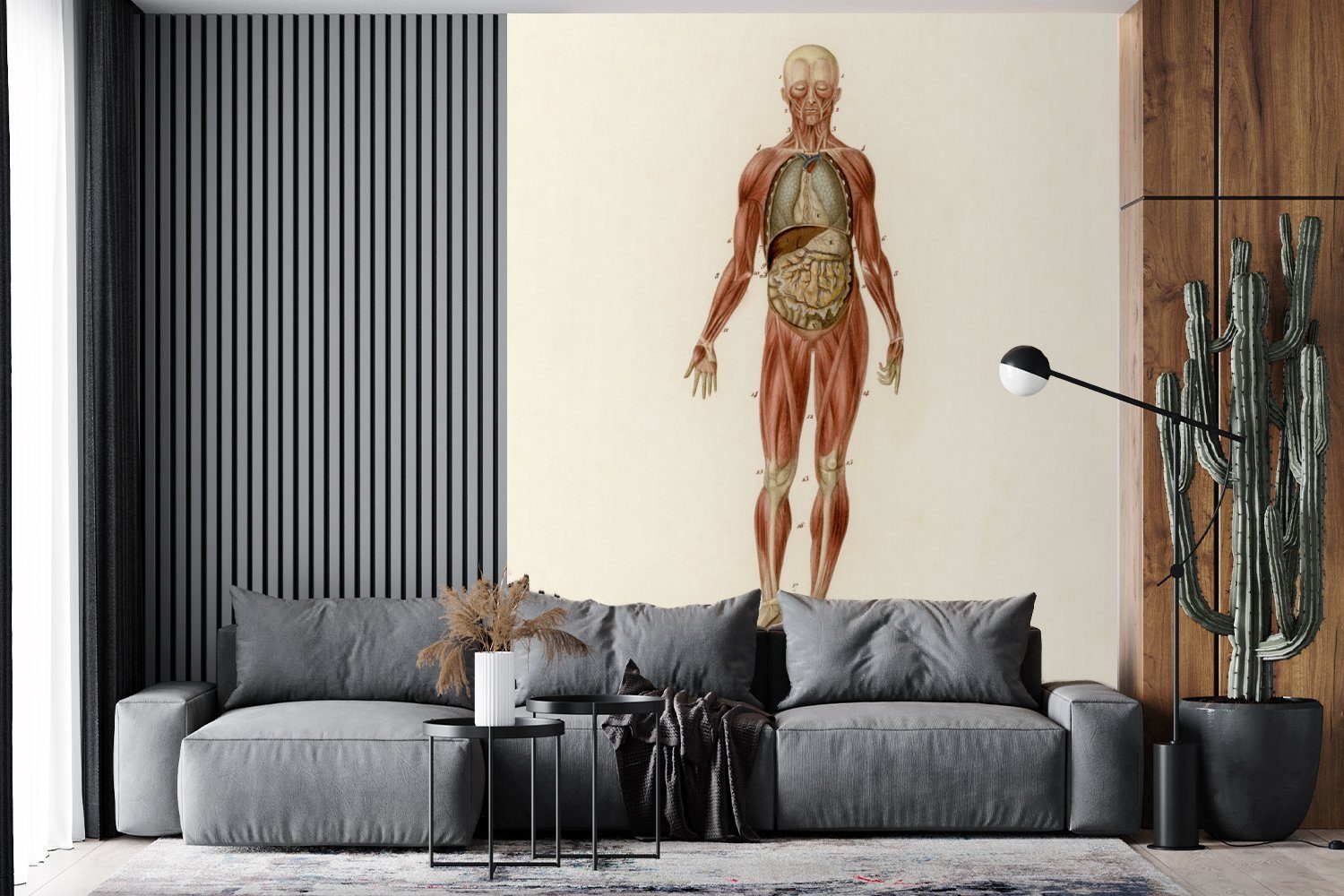MuchoWow Fototapete für Wohnzimmer bedruckt, (3 Anatomie Schlafzimmer Vliestapete - Fototapete St), Mensch, Körper Matt, - Küche