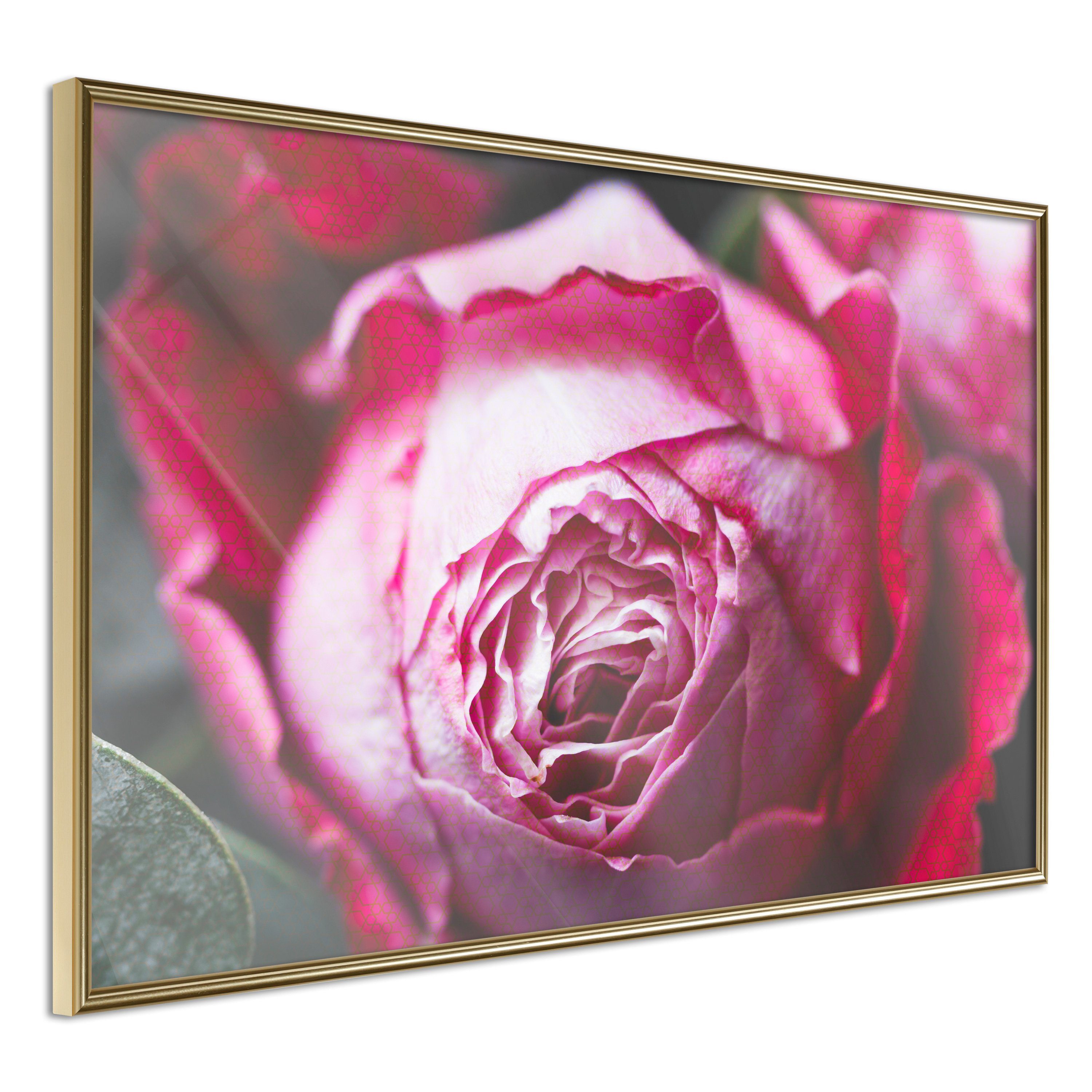 Artgeist Poster Rose Geometry