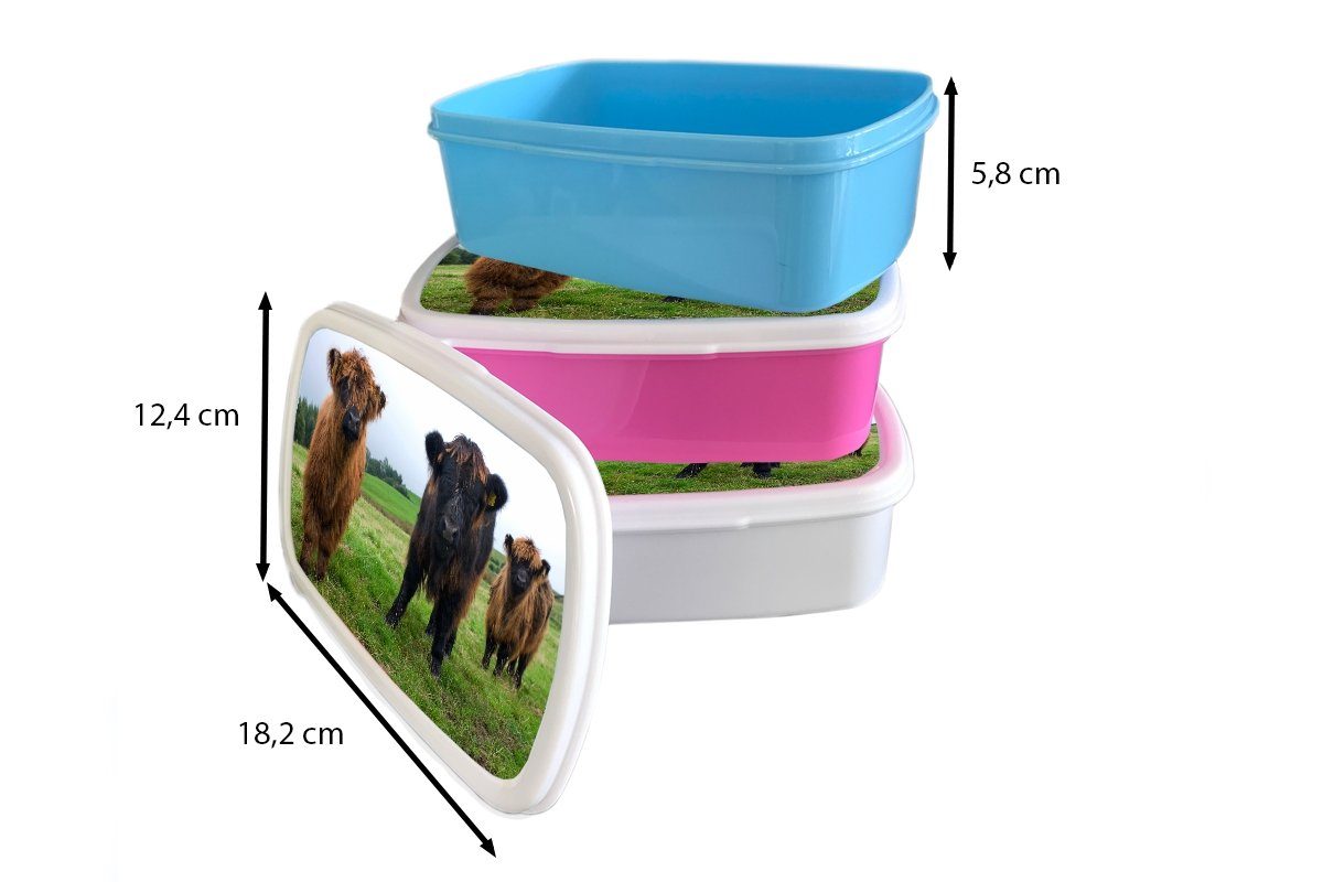 Kinder (2-tlg), - für MuchoWow - Gras, Brotbox und Lunchbox Schottische Kunststoff, für Erwachsene, Brotdose, und weiß - Kühe Mädchen Natur Grün Highlander Jungs -
