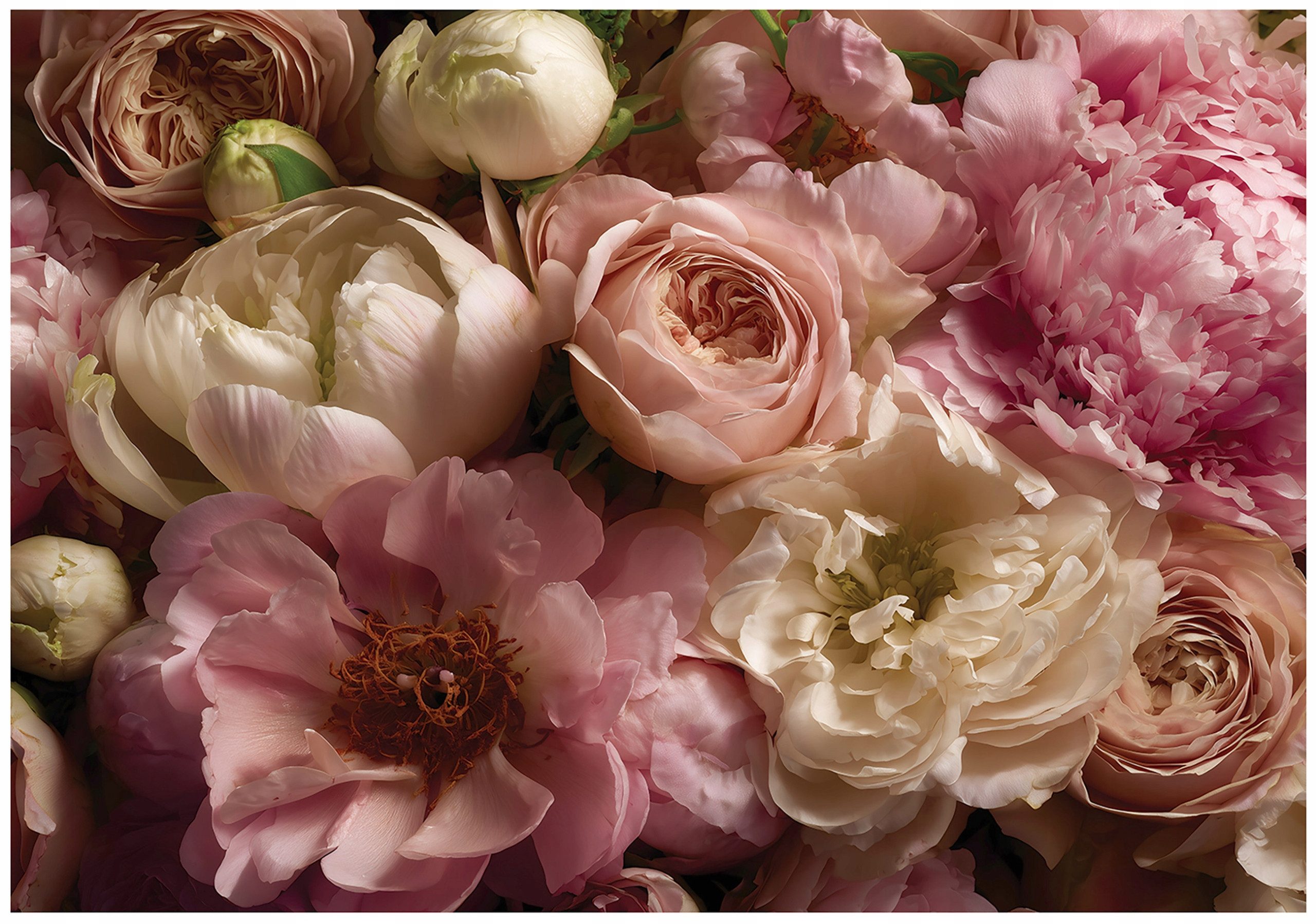 Wallarena Fototapete Blumen Pfingstrosen - Rosa - Elegant - Vlies - Schlafzimmer, glatt, (4 St), 200x140cm