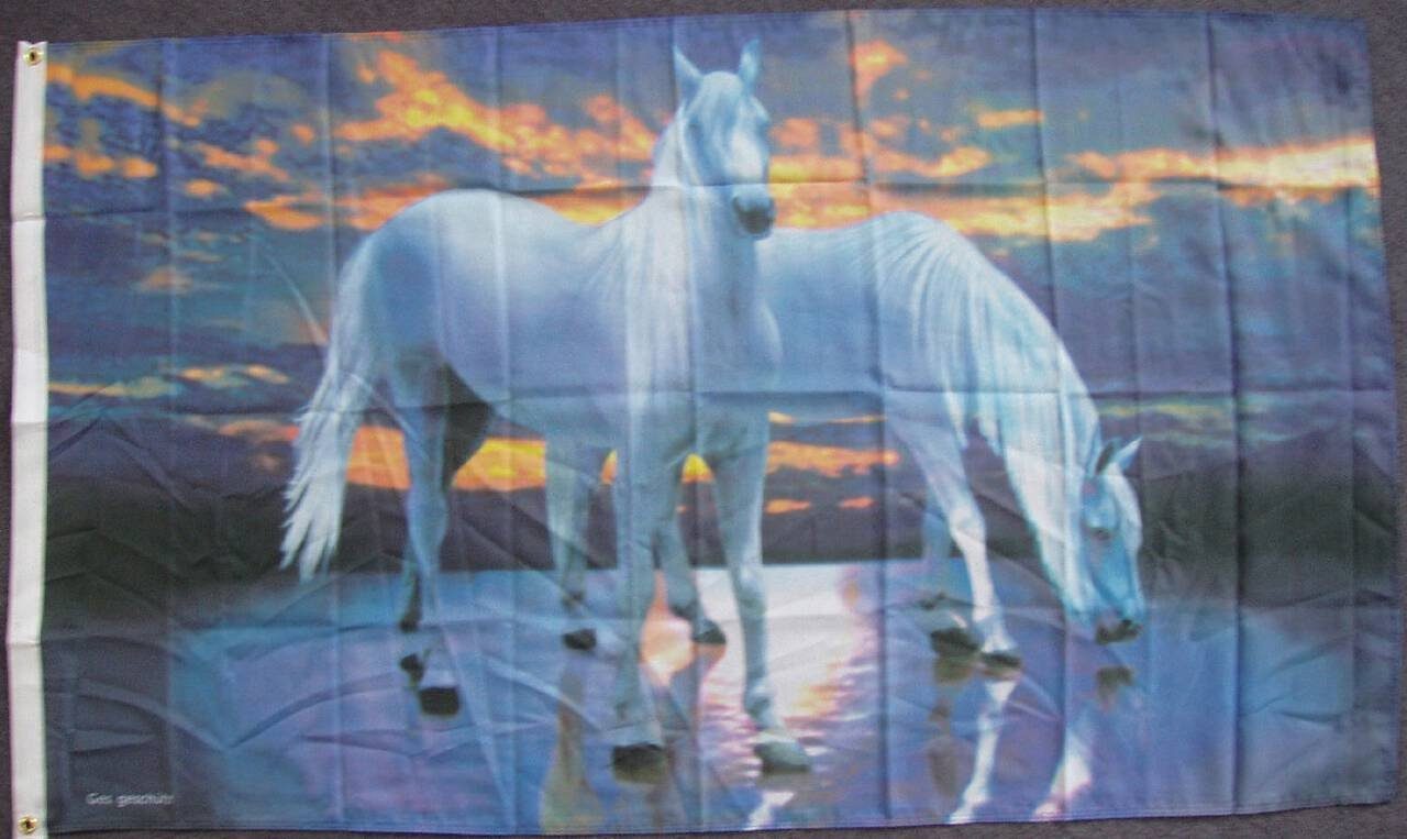 Weiße g/m² flaggenmeer Flagge Pferde 80