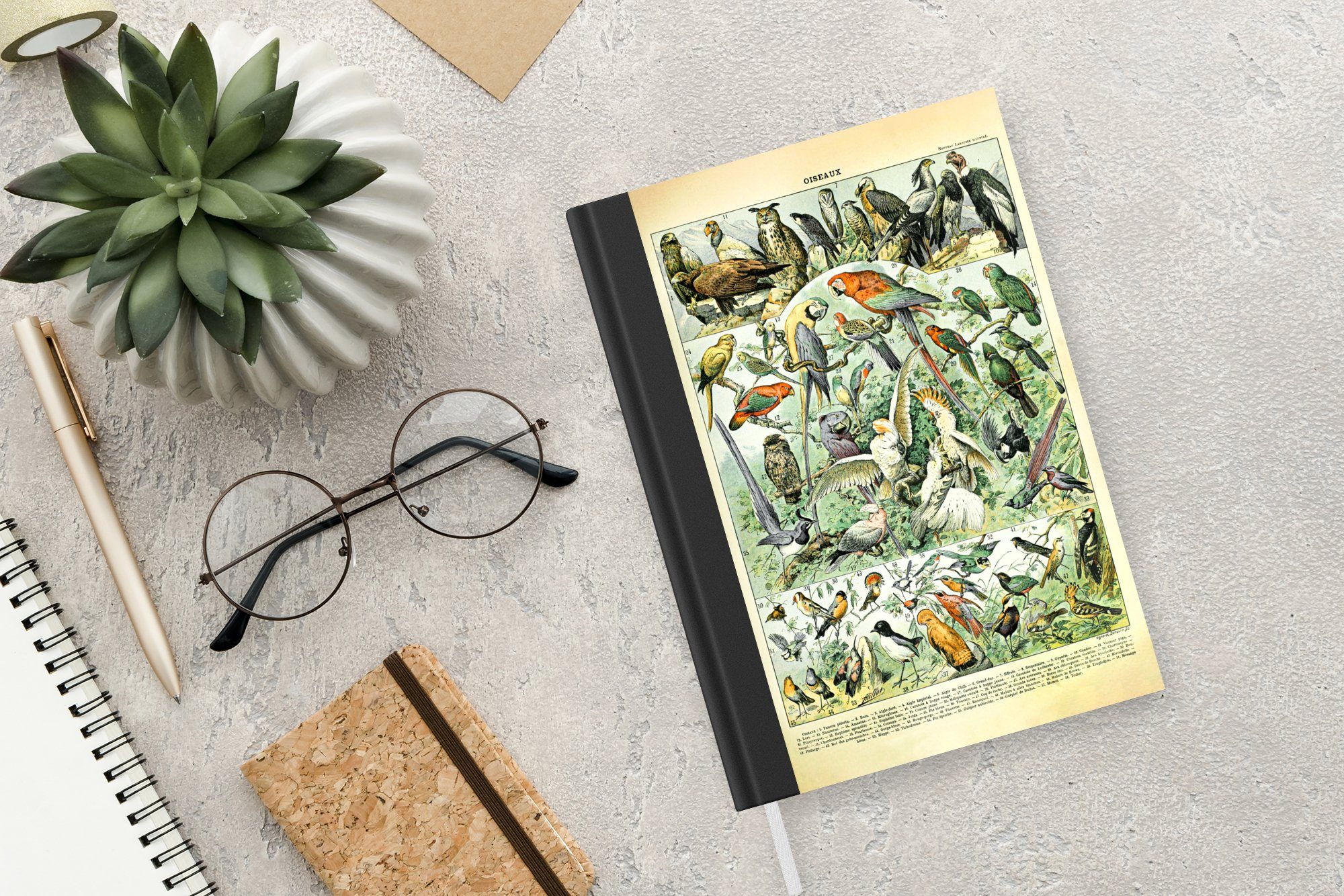 - Design, - Adolphe Vintage Journal, - Notizheft, Millot Haushaltsbuch Seiten, A5, - Merkzettel, Tagebuch, MuchoWow 98 Vögel Tiere Notizbuch