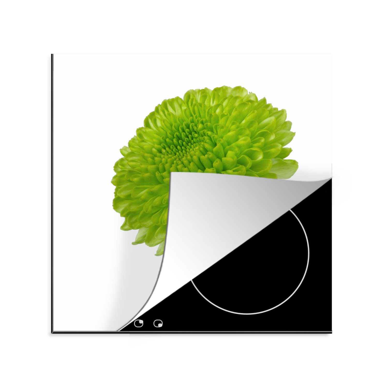 MuchoWow Herdblende-/Abdeckplatte Grüne Chrysantheme, Vinyl, (1 tlg), 78x78 cm, Ceranfeldabdeckung, Arbeitsplatte für küche