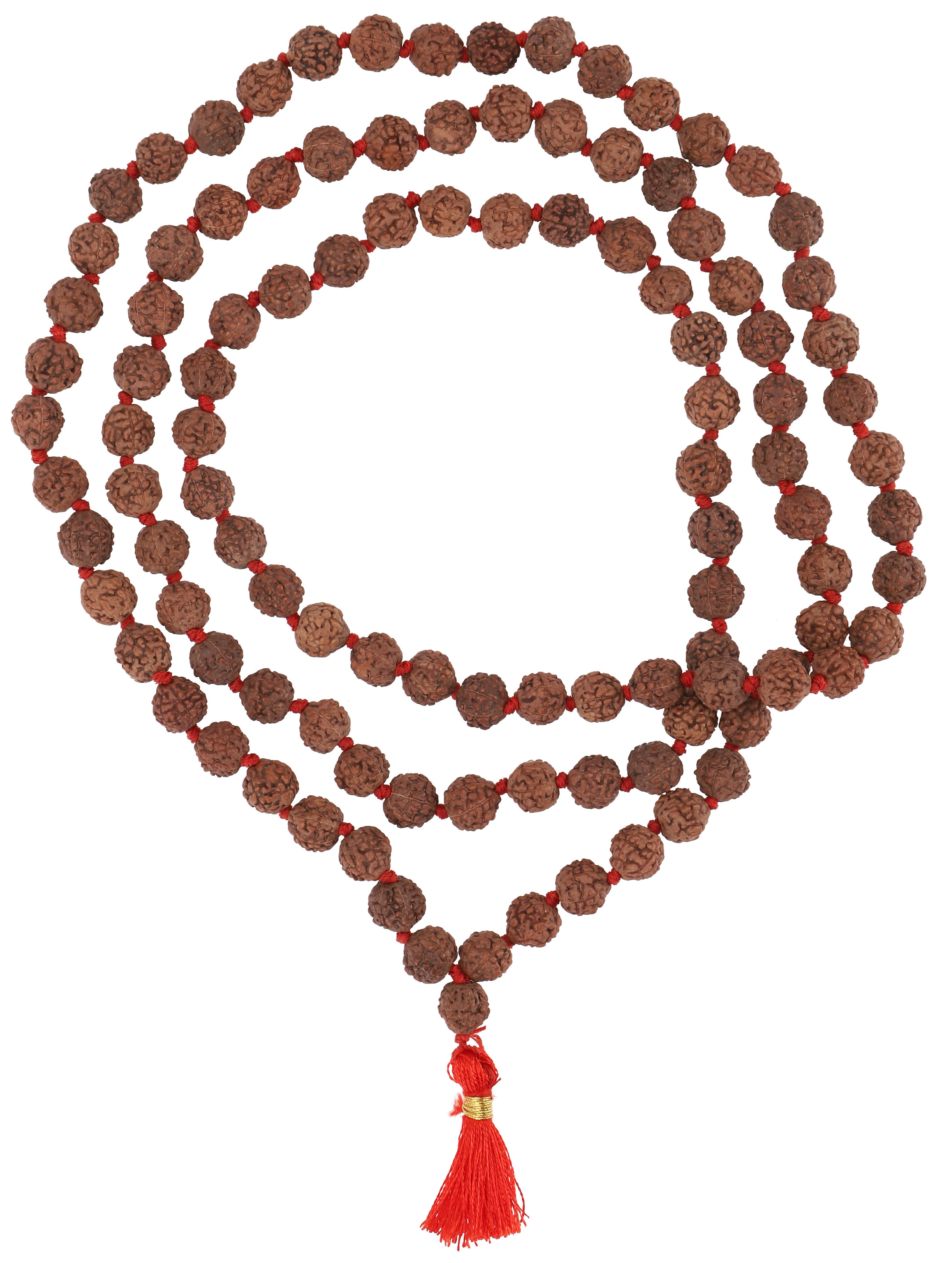 Guru-Shop Perlenkette 6 Mukhi Rudraksha Mala aus Indien
