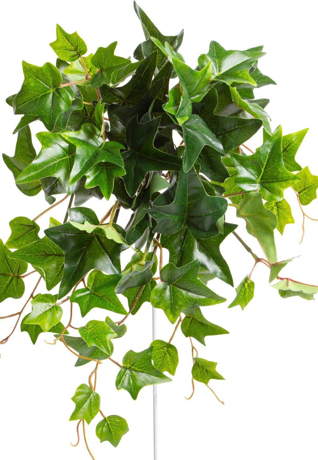 Künstliche Zimmerpflanze Efeu-Hängebusch mit 9 Stielen Efeu, Botanic-Haus,  Höhe 40 cm