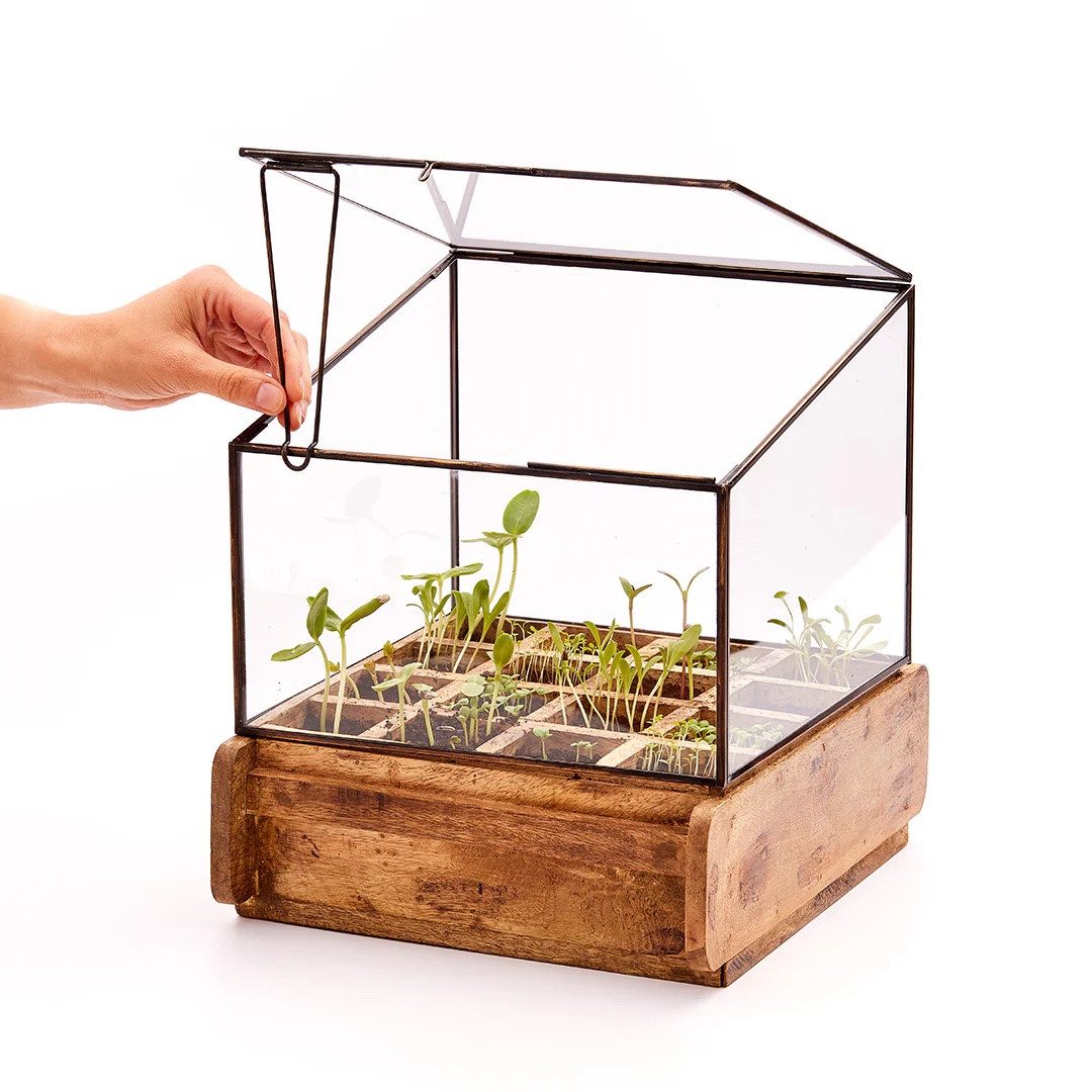 Die Stadtgärtner Anzuchttopf Anzucht-& Kräutergewächshaus, Dekoratives Zimmergewächshaus 16 Fächer, Komplett montiert