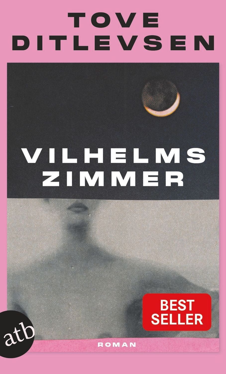 Vilhelms Zimmer / Tove Ditlevsen, Roman