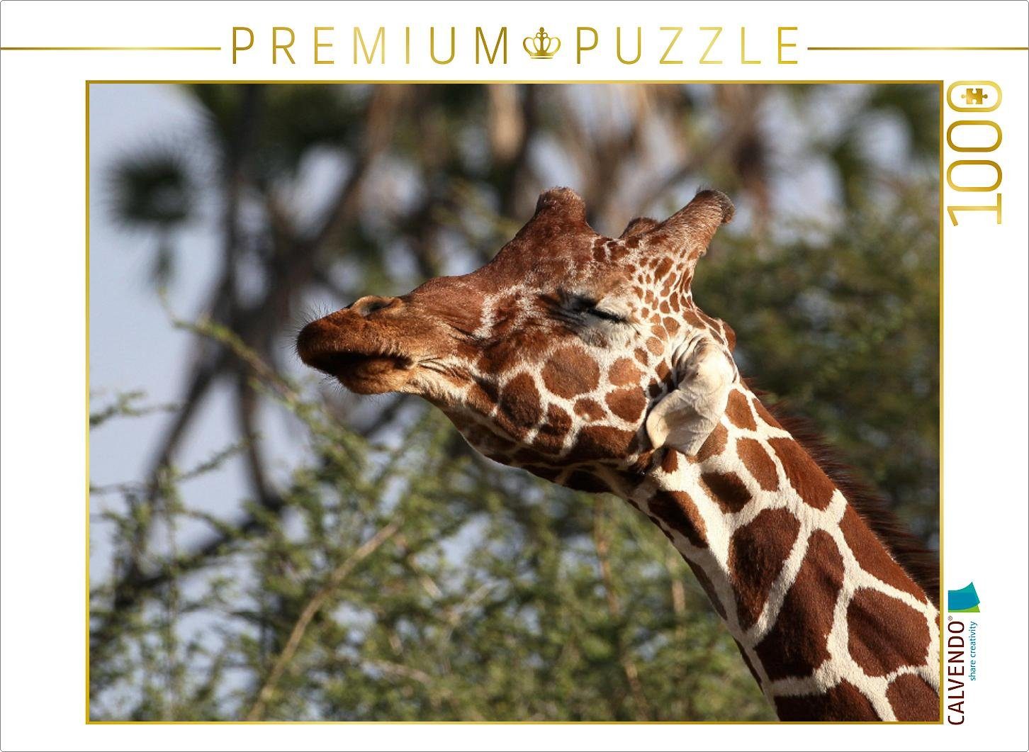 CALVENDO Puzzle CALVENDO Puzzle Giraffen – Kopfschütteln 1000 Teile Lege-Größe 64 x 48 cm Foto-Puzzle Bild von Michael Herzog, 1000 Puzzleteile