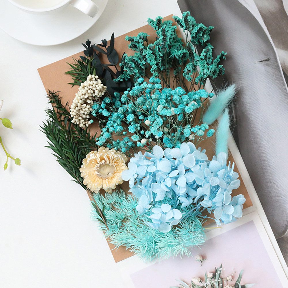 Trockenblume Pampasgras Zum Basteln Mini Trockenblumen, günstig online kaufen