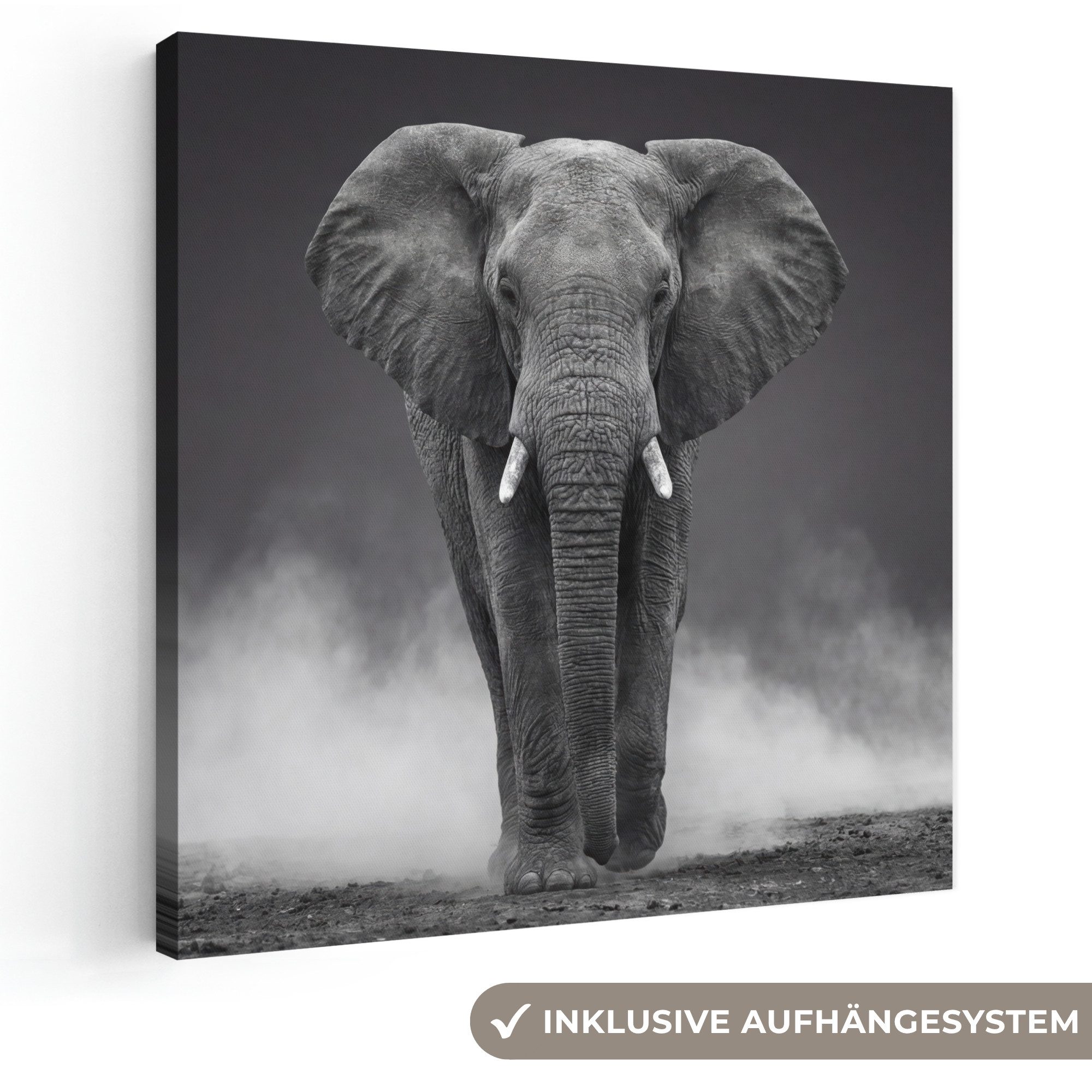 OneMillionCanvasses® Leinwandbild Elefant - Schwarz - Weiß - Rauch, Fotodruck (1 St), Wandbild, Deko Schlafzimmer Wohnzimmer Flur 20x20 cm