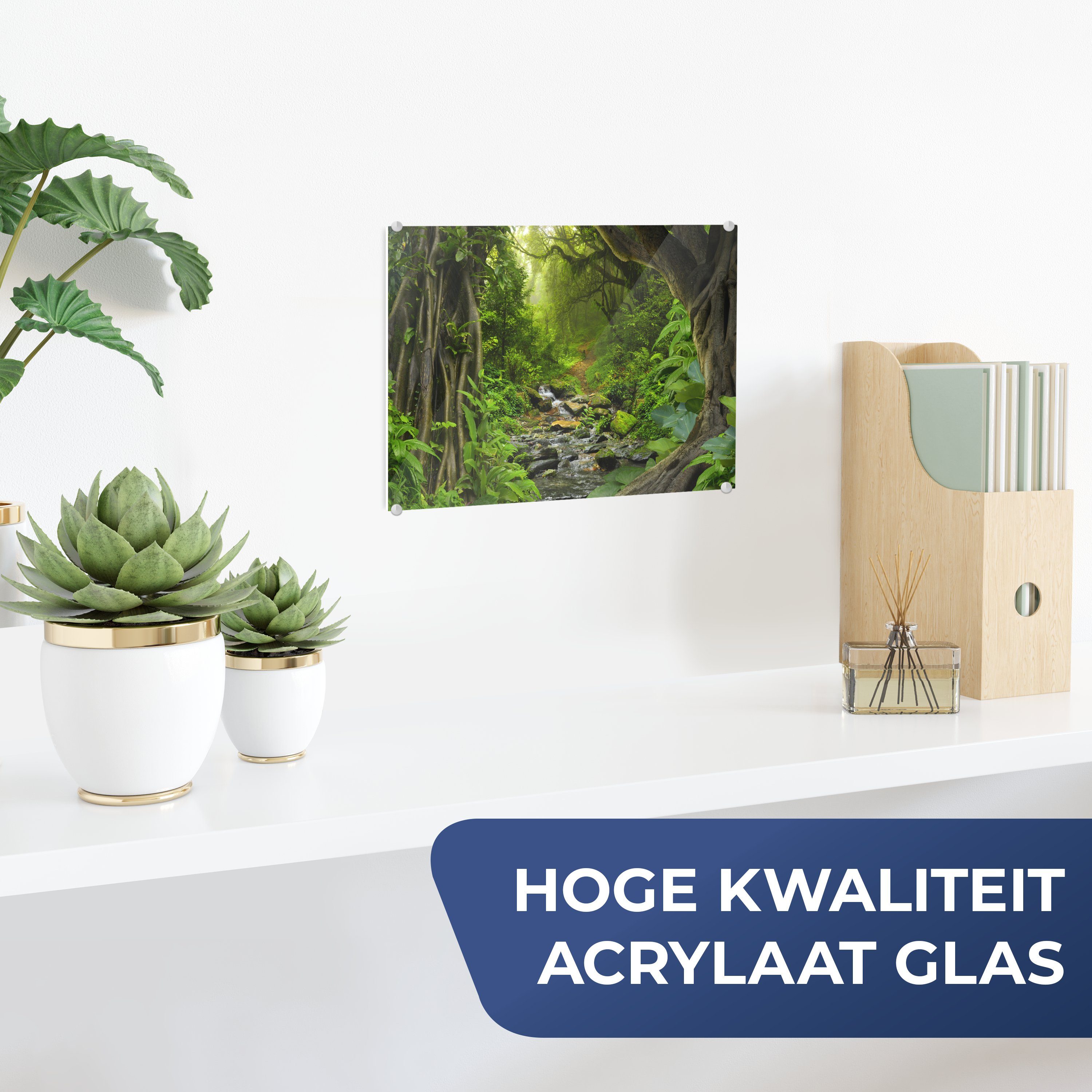 MuchoWow Acrylglasbild Natur - Wasser - Dschungel - Wald - Tropisch, Inkl. günstig online kaufen