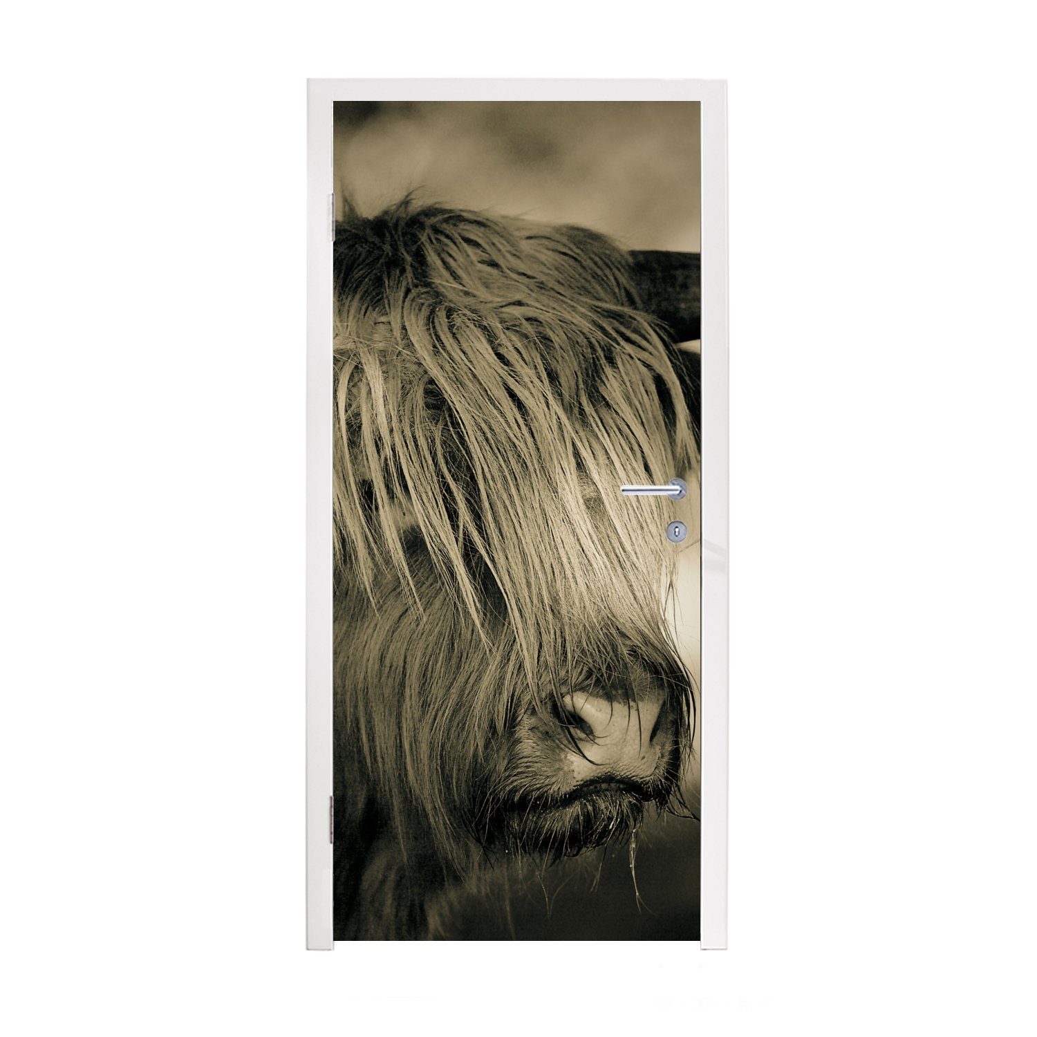 MuchoWow Türtapete Schottischer Highlander - Tiere - Haare, Matt, bedruckt, (1 St), Fototapete für Tür, Türaufkleber, 75x205 cm