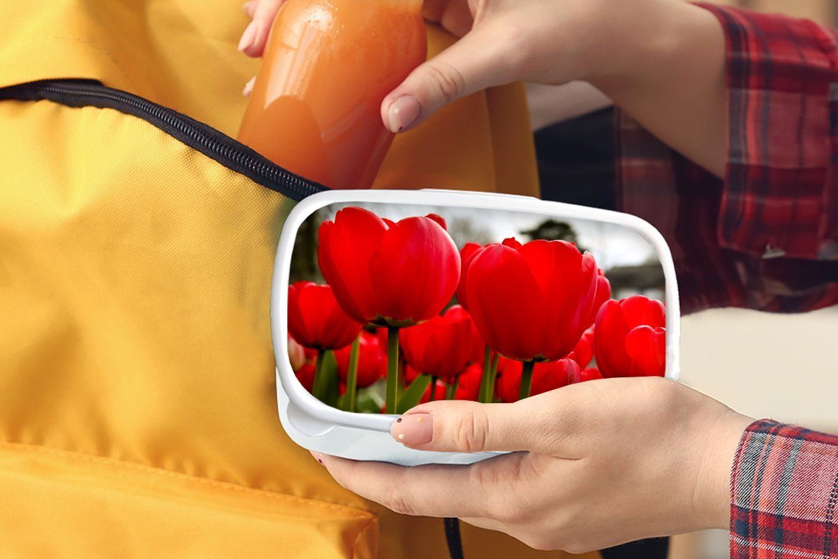 Jungs Brotdose, Lunchbox Nahaufnahme von Kunststoff, Mädchen Tulpen, Brotbox für (2-tlg), für Kinder und Erwachsene, roten weiß und MuchoWow