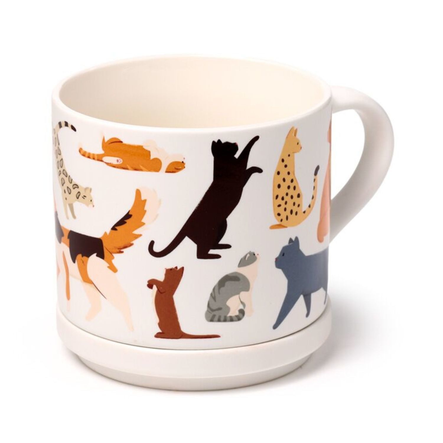 Puckator Tasse Feline Fine Katzen Kaffeebecher & Untersetzer Set
