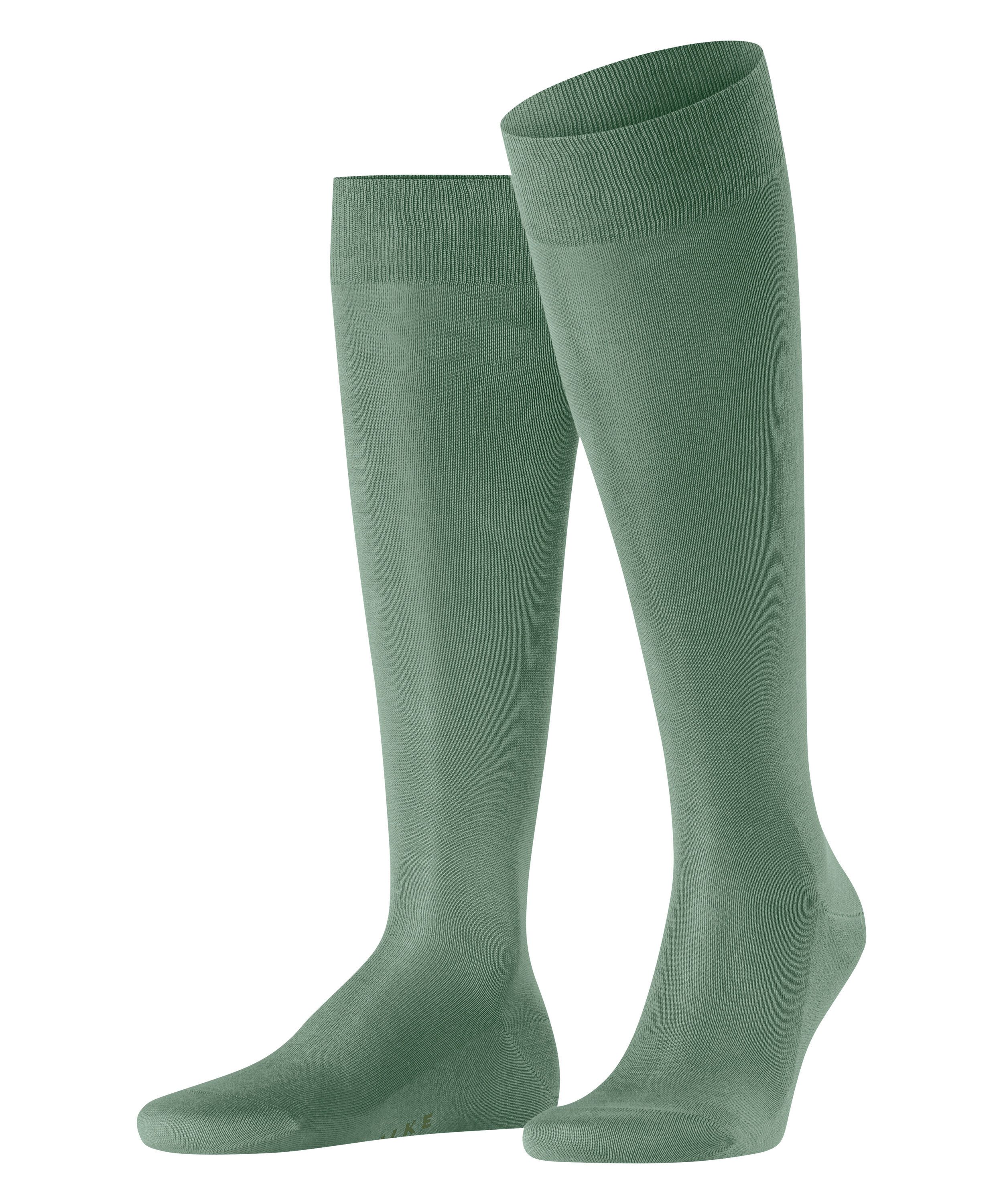 sage (7538)