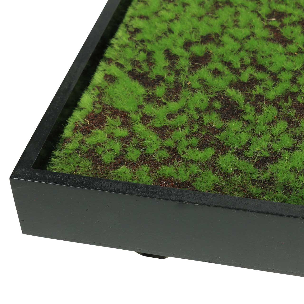 Künstliche Zimmerpflanze Wandbild Moosrahmen Grün 60x30cm günstig online kaufen