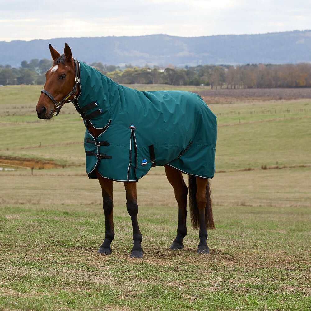 WeatherBeeta Pferde-Regendecke Weatherbeeta Comfitec Classic Turnout Combo 50g