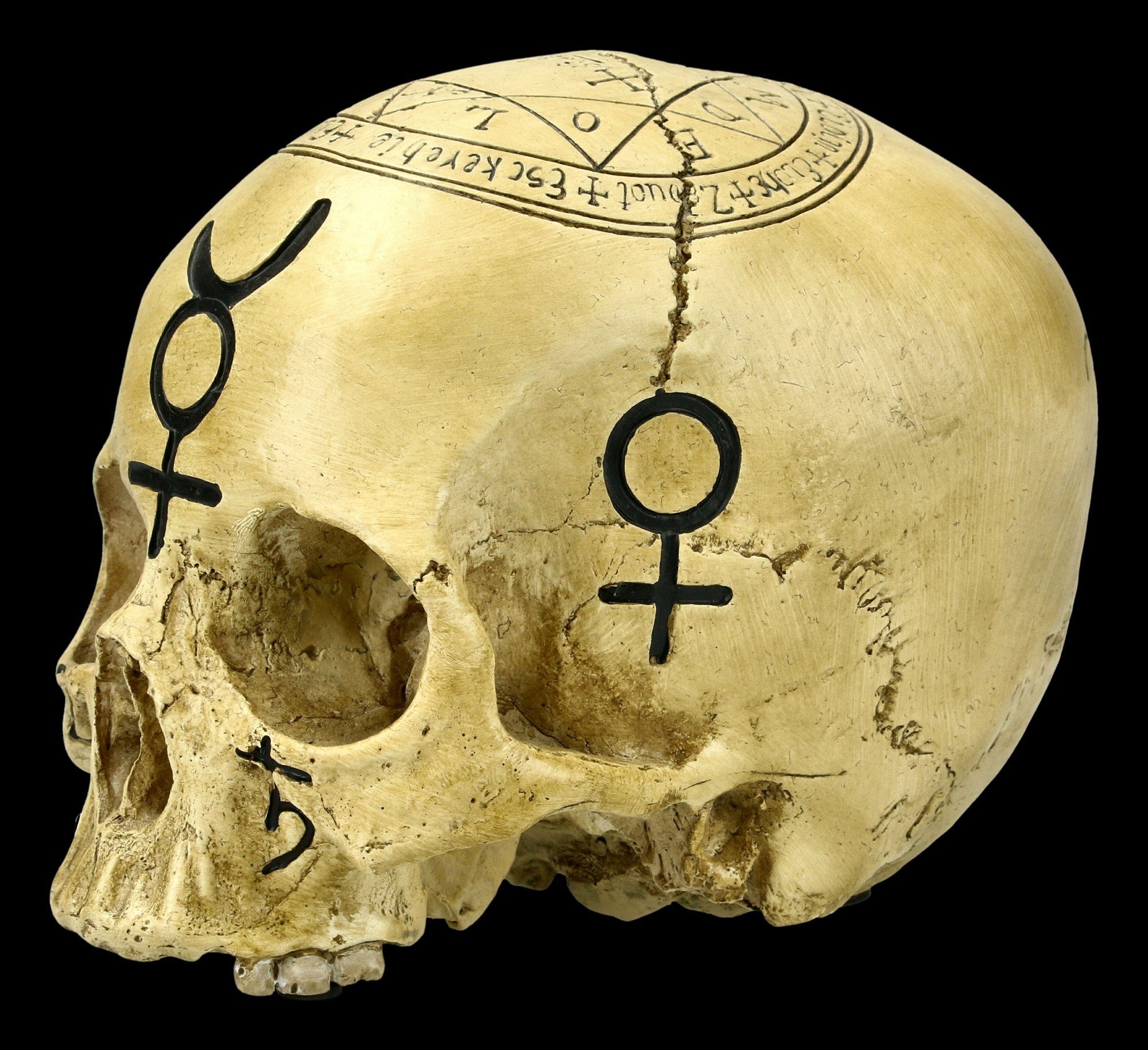 Figuren Shop GmbH Dekofigur Totenkopf Witchcraft Skull - Gothic Deko Halloween