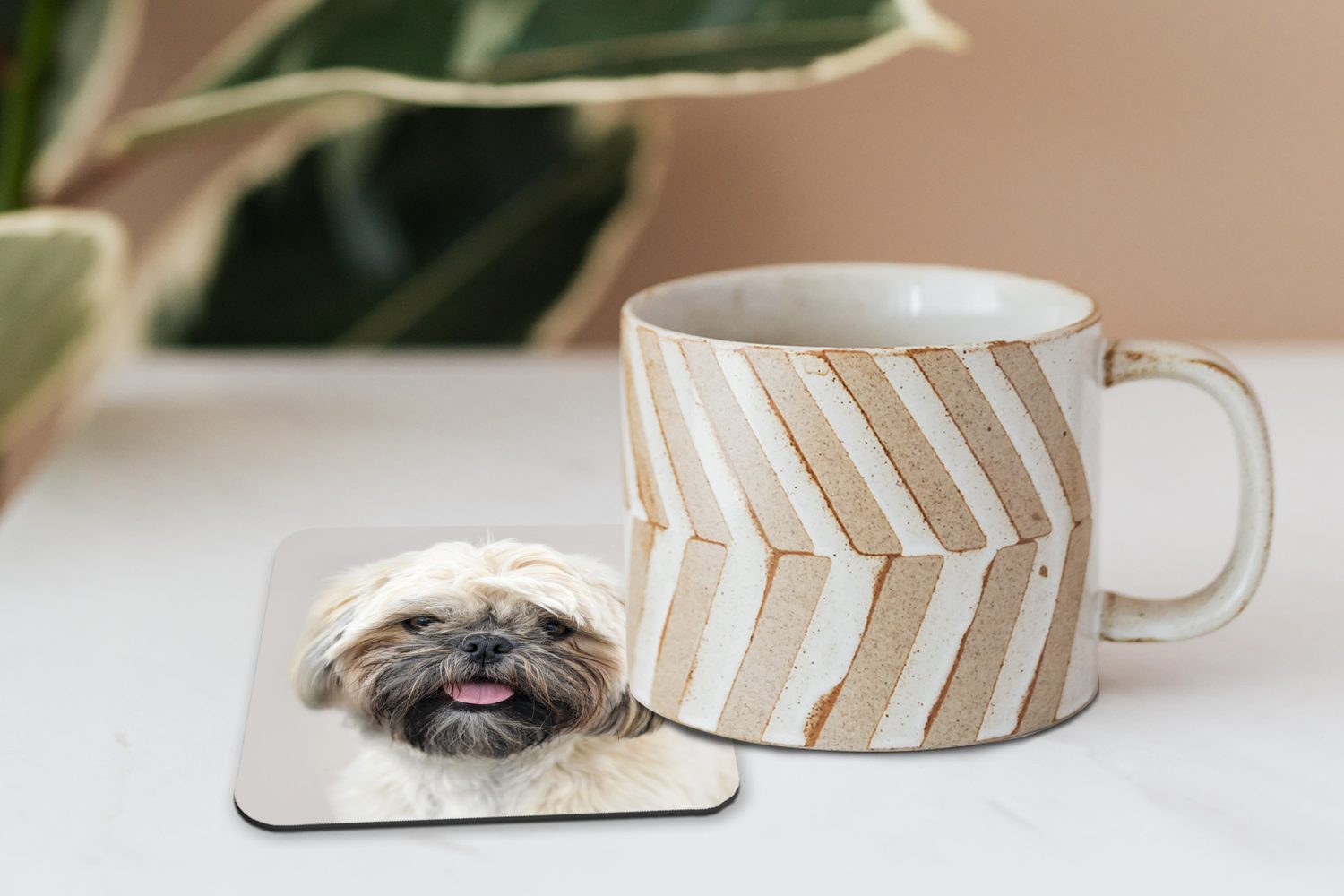 Hundes, eines Zubehör Shih Korkuntersetzer, Tischuntersetzer, Nahaufnahme Gläser, Untersetzer, 6-tlg., Portrait MuchoWow Glasuntersetzer Tzu Glasuntersetzer, für Tasse