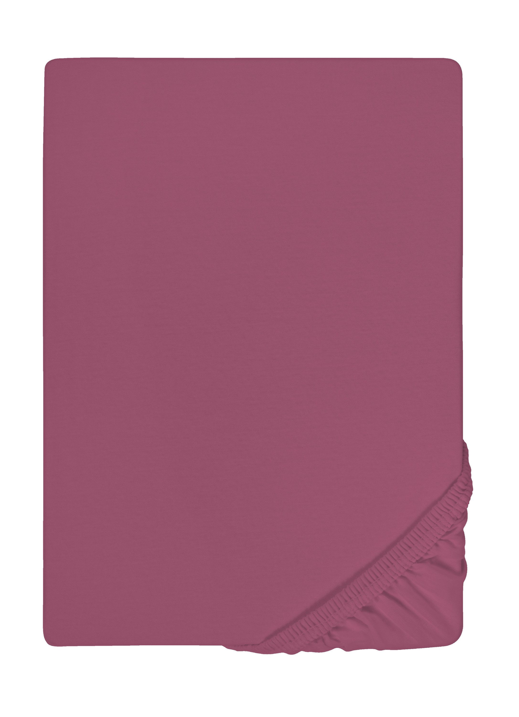 Castell - Markenbettwäsche Spannbettlaken Spannbetttuch Jersey-Stretch, günstig online kaufen